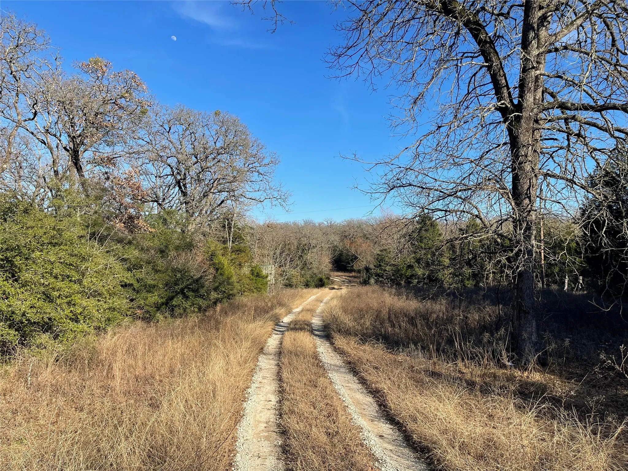 Unimproved Land For Sale in Freestone County , TBD FM 553, Teague, Texas 75860, 0, 0, Garage spaces, 0 Sqft, built in 0, Price $575,000, mls#21159103, Real Estate Agent in Teague, Homes For Sale in Freestone county, Homes For Sale in Teague, Realtor in Teague Texas, Real Estate Brokerage Independent Realty Texas, Luminita Cordes Realtor