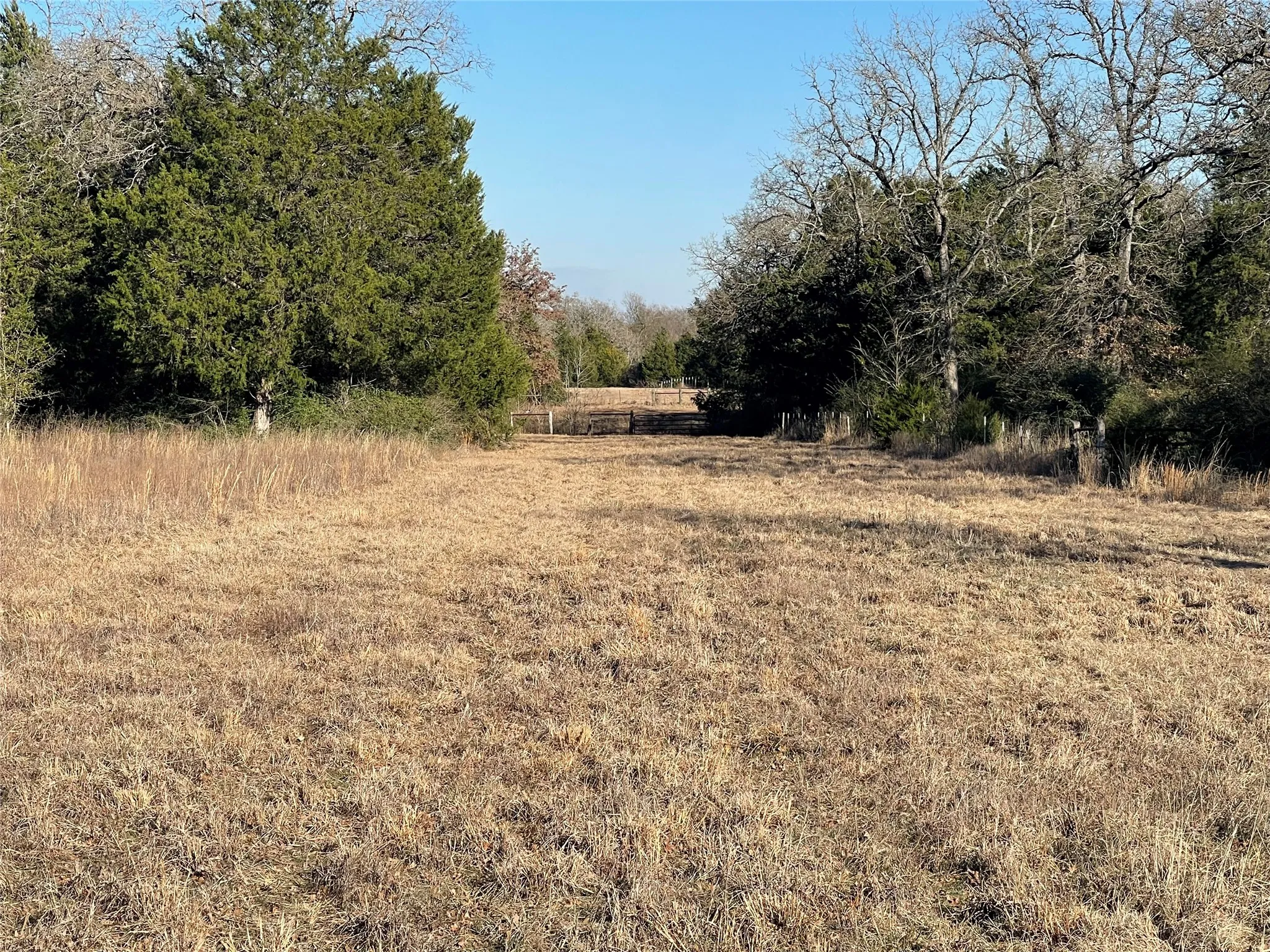 Unimproved Land For Sale in Freestone County , TBD FM 553, Teague, Texas 75860, 0, 0, Garage spaces, 0 Sqft, built in 0, Price $575,000, mls#21159103, Real Estate Agent in Teague, Homes For Sale in Freestone county, Homes For Sale in Teague, Realtor in Teague Texas, Real Estate Brokerage Independent Realty Texas, Luminita Cordes Realtor