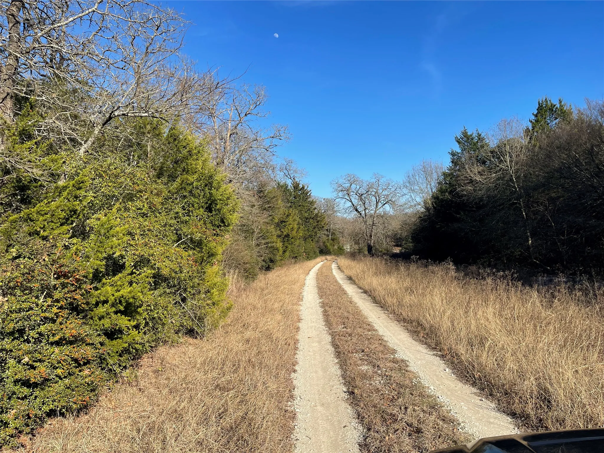 Unimproved Land For Sale in Freestone County , TBD FM 553, Teague, Texas 75860, 0, 0, Garage spaces, 0 Sqft, built in 0, Price $575,000, mls#21159103, Real Estate Agent in Teague, Homes For Sale in Freestone county, Homes For Sale in Teague, Realtor in Teague Texas, Real Estate Brokerage Independent Realty Texas, Luminita Cordes Realtor