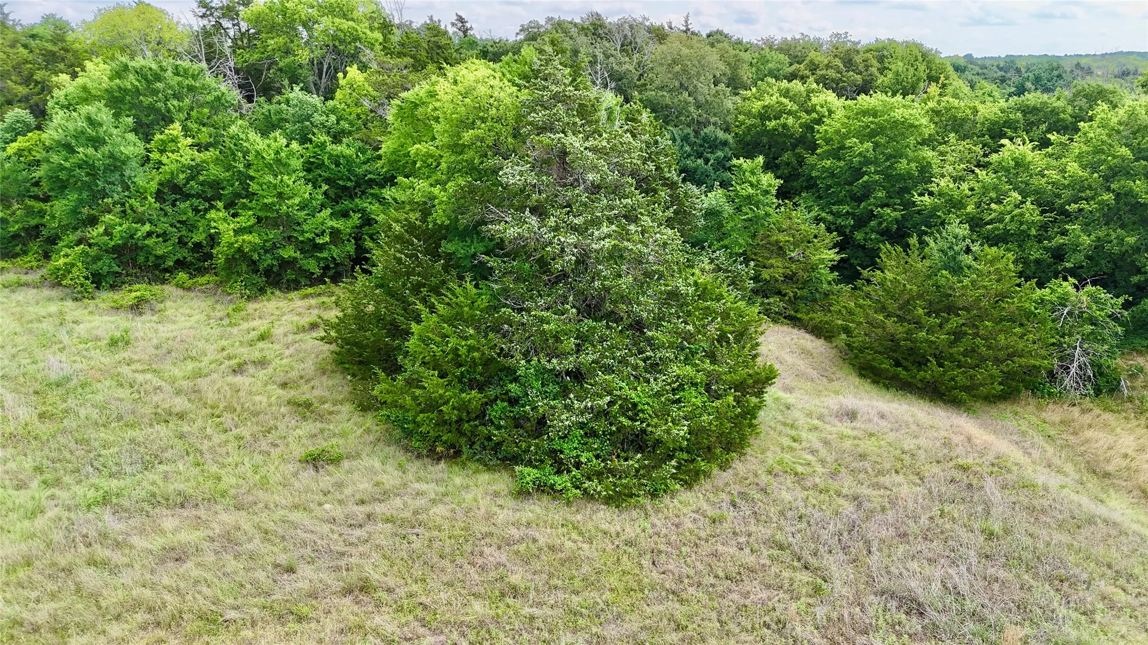 Unimproved Land For Sale in Cooke County , TBD County Road 106, Whitesboro, Texas 76273, 0, 0, Garage spaces, 0 Sqft, built in 0, Price $959,200, mls#21182249, Real Estate Agent in Whitesboro, Homes For Sale in Cooke county, Homes For Sale in Whitesboro, Realtor in Whitesboro Texas, Real Estate Brokerage Independent Realty Texas, Luminita Cordes Realtor