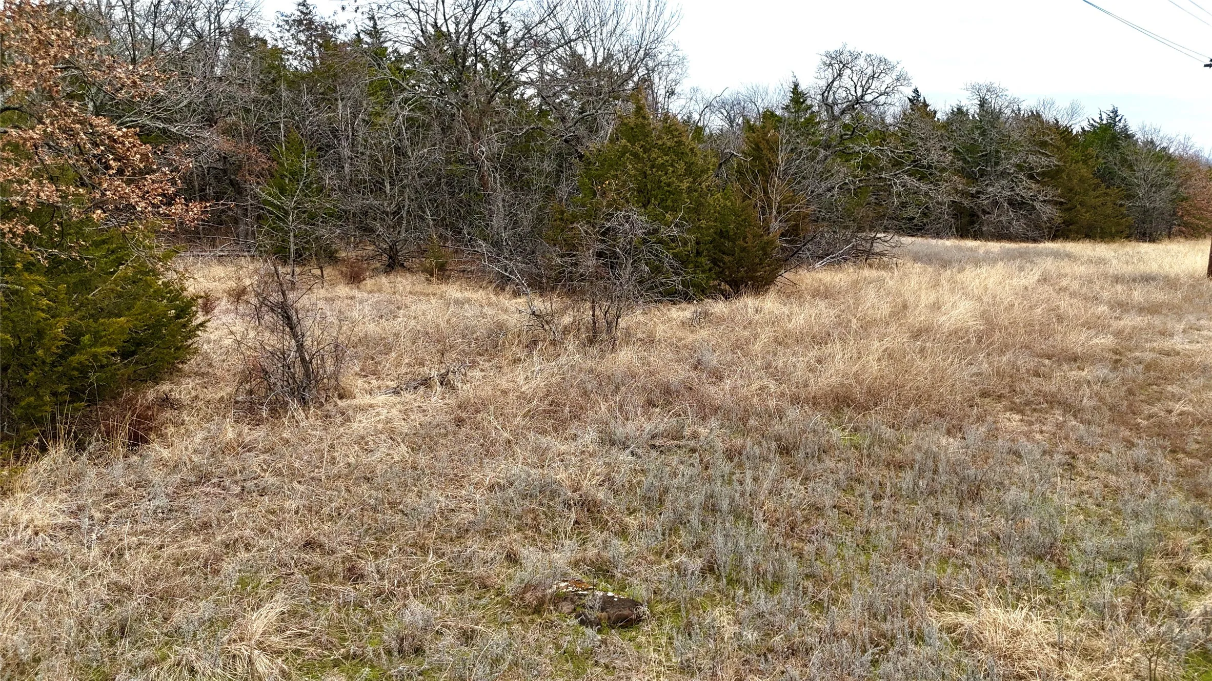 Unimproved Land For Sale in Cooke County , TBD County Road 106, Whitesboro, Texas 76273, 0, 0, Garage spaces, 0 Sqft, built in 0, Price $959,200, mls#21182249, Real Estate Agent in Whitesboro, Homes For Sale in Cooke county, Homes For Sale in Whitesboro, Realtor in Whitesboro Texas, Real Estate Brokerage Independent Realty Texas, Luminita Cordes Realtor