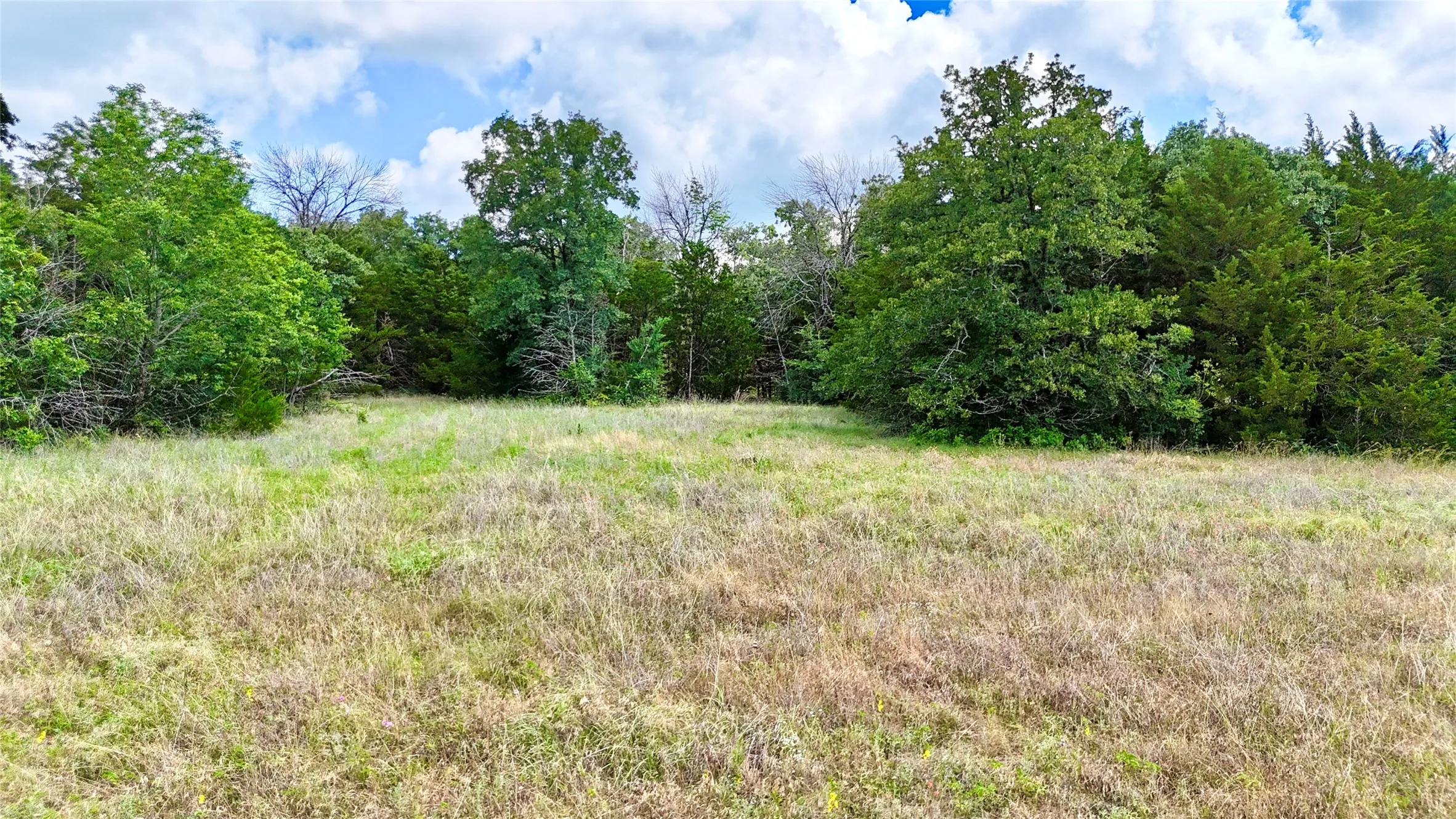 Unimproved Land For Sale in Cooke County , TBD County Road 106, Whitesboro, Texas 76273, 0, 0, Garage spaces, 0 Sqft, built in 0, Price $959,200, mls#21182249, Real Estate Agent in Whitesboro, Homes For Sale in Cooke county, Homes For Sale in Whitesboro, Realtor in Whitesboro Texas, Real Estate Brokerage Independent Realty Texas, Luminita Cordes Realtor