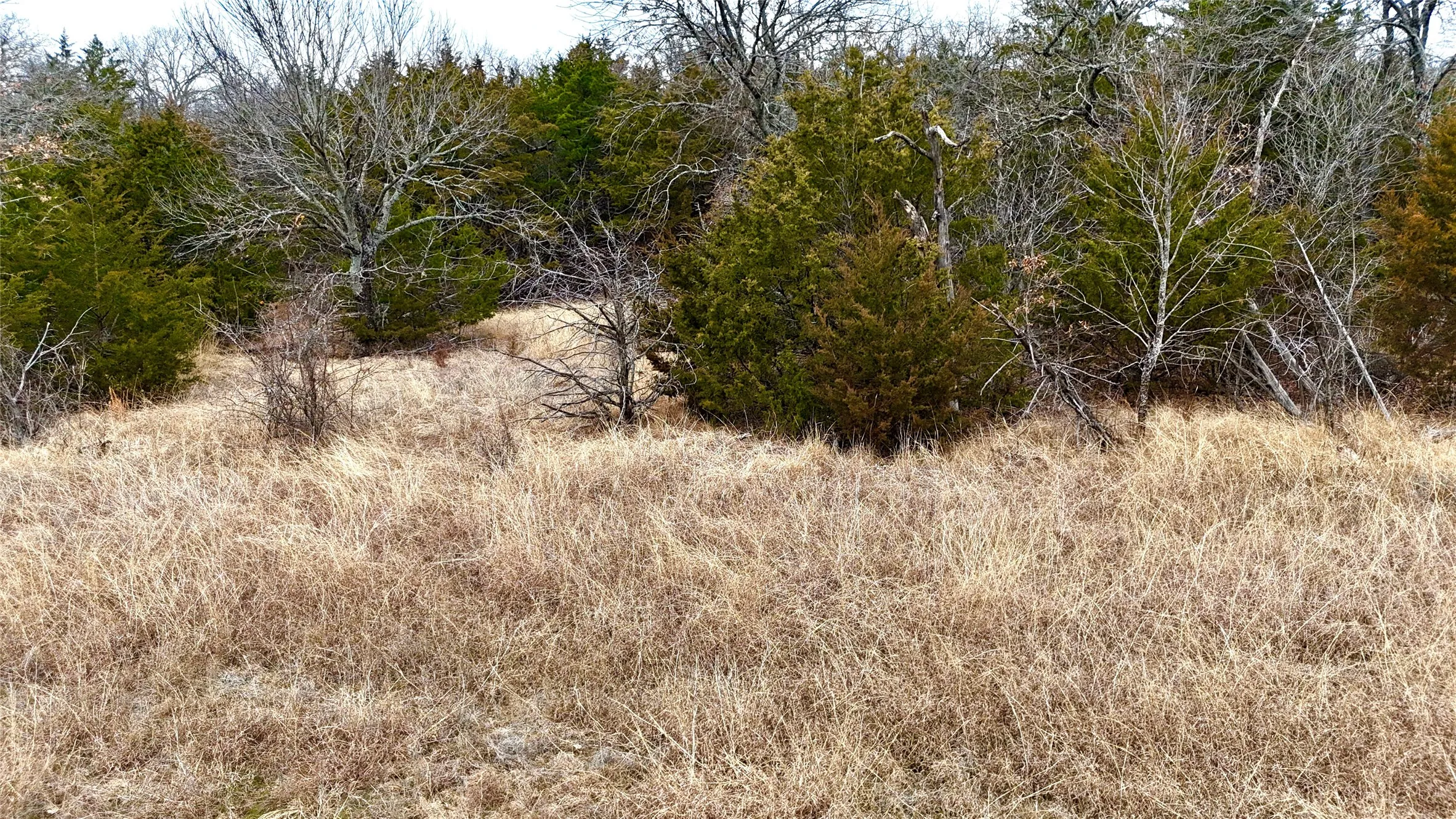 Unimproved Land For Sale in Cooke County , TBD County Road 106, Whitesboro, Texas 76273, 0, 0, Garage spaces, 0 Sqft, built in 0, Price $959,200, mls#21182249, Real Estate Agent in Whitesboro, Homes For Sale in Cooke county, Homes For Sale in Whitesboro, Realtor in Whitesboro Texas, Real Estate Brokerage Independent Realty Texas, Luminita Cordes Realtor
