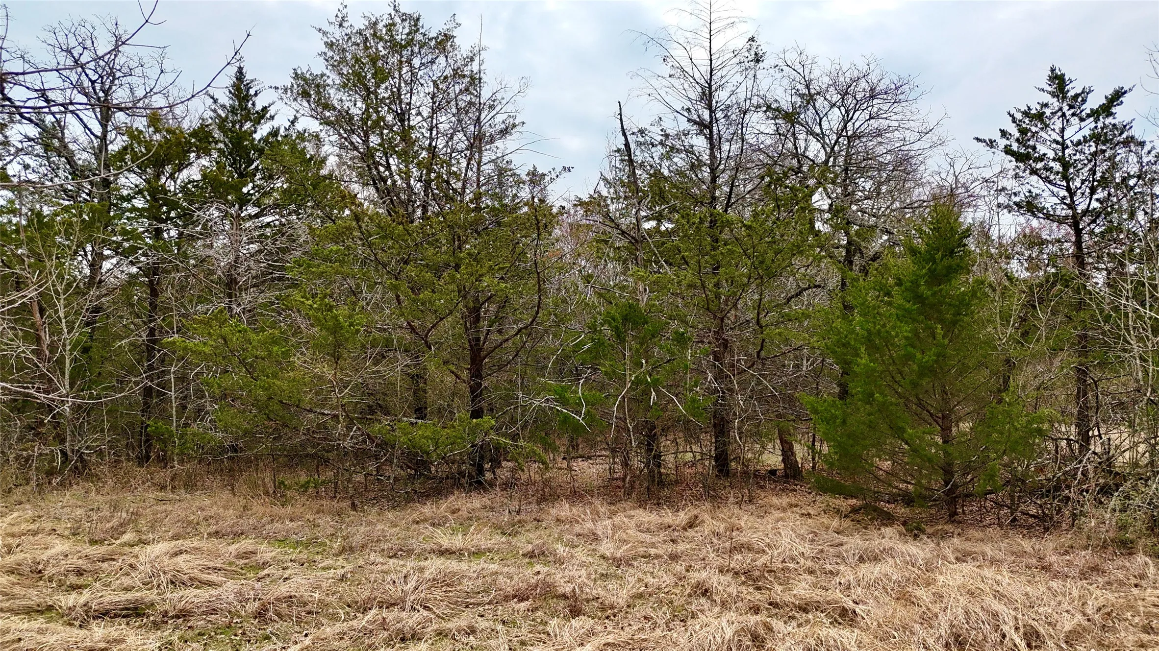 Unimproved Land For Sale in Cooke County , TBD County Road 106, Whitesboro, Texas 76273, 0, 0, Garage spaces, 0 Sqft, built in 0, Price $959,200, mls#21182249, Real Estate Agent in Whitesboro, Homes For Sale in Cooke county, Homes For Sale in Whitesboro, Realtor in Whitesboro Texas, Real Estate Brokerage Independent Realty Texas, Luminita Cordes Realtor