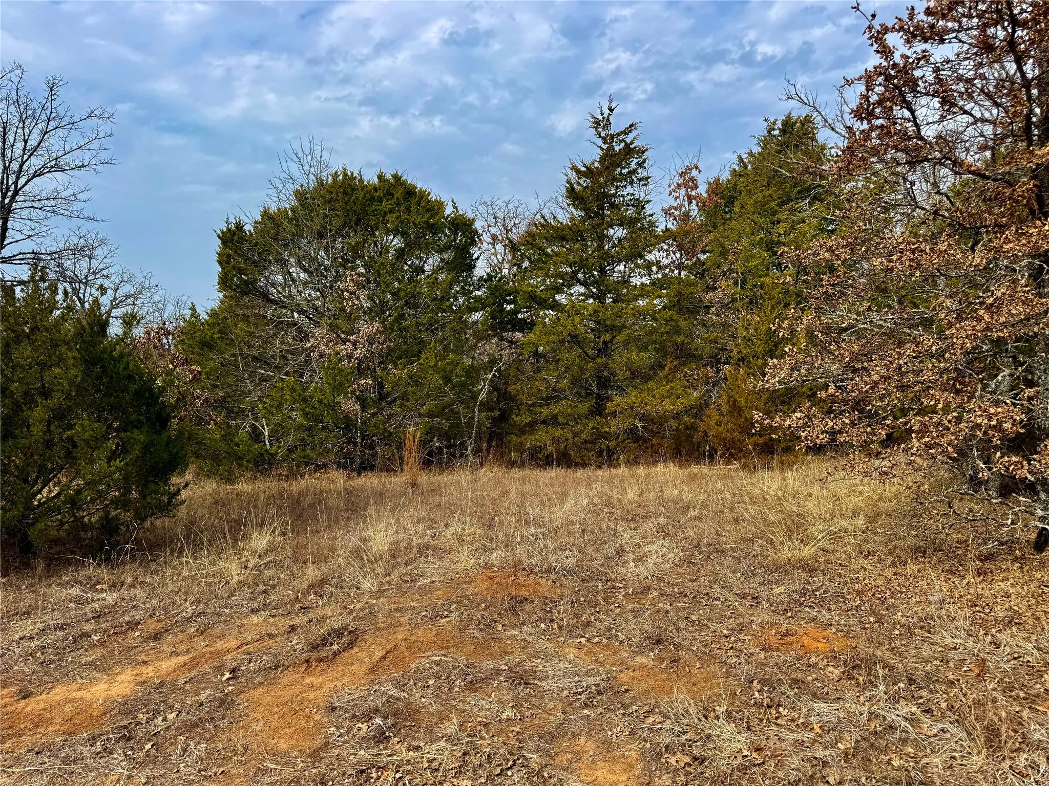 Unimproved Land For Sale in Cooke County , TBD County Road 106, Whitesboro, Texas 76273, 0, 0, Garage spaces, 0 Sqft, built in 0, Price $959,200, mls#21182249, Real Estate Agent in Whitesboro, Homes For Sale in Cooke county, Homes For Sale in Whitesboro, Realtor in Whitesboro Texas, Real Estate Brokerage Independent Realty Texas, Luminita Cordes Realtor