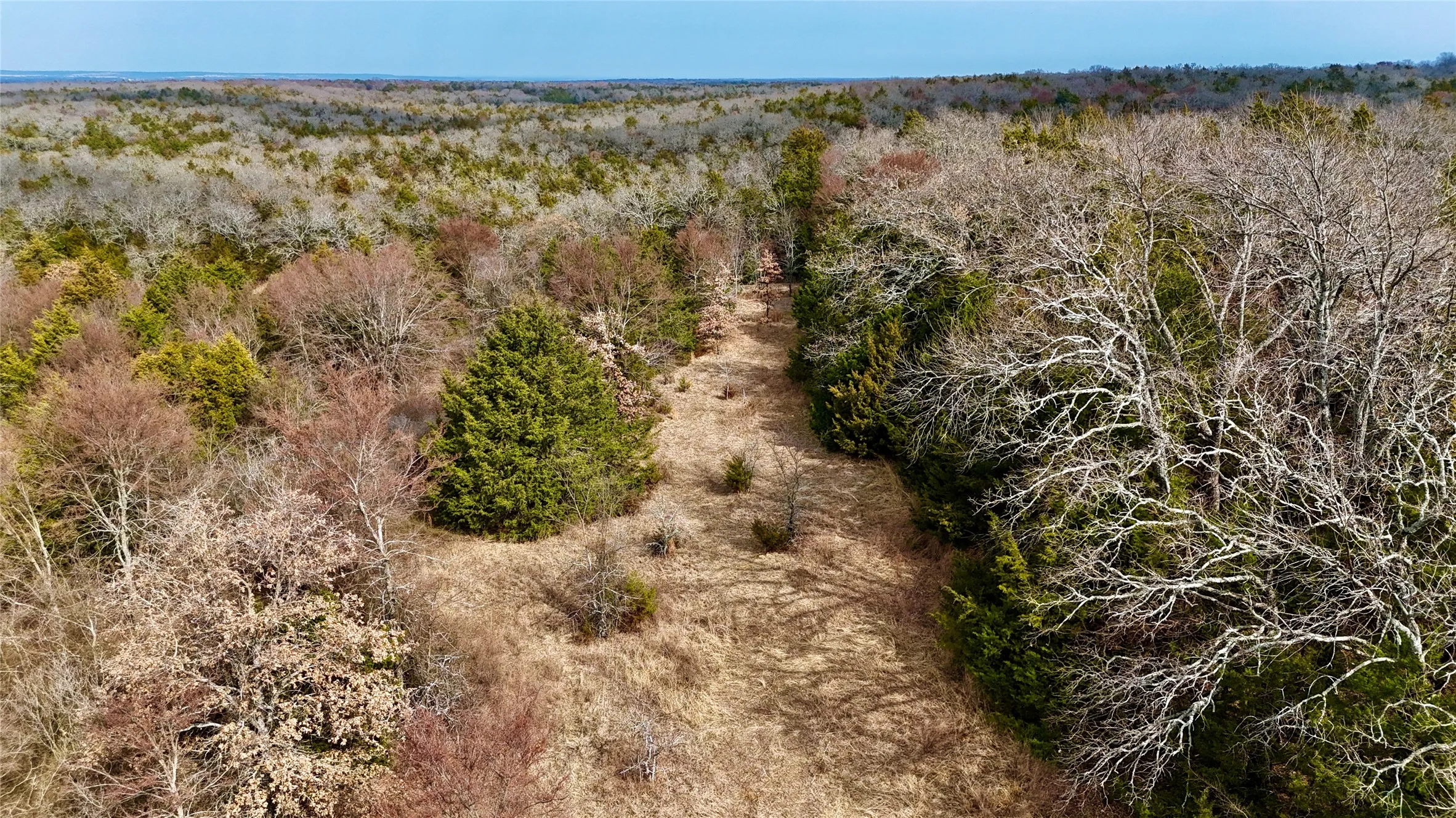 Unimproved Land For Sale in Cooke County , TBD County Road 106, Whitesboro, Texas 76273, 0, 0, Garage spaces, 0 Sqft, built in 0, Price $959,200, mls#21182249, Real Estate Agent in Whitesboro, Homes For Sale in Cooke county, Homes For Sale in Whitesboro, Realtor in Whitesboro Texas, Real Estate Brokerage Independent Realty Texas, Luminita Cordes Realtor