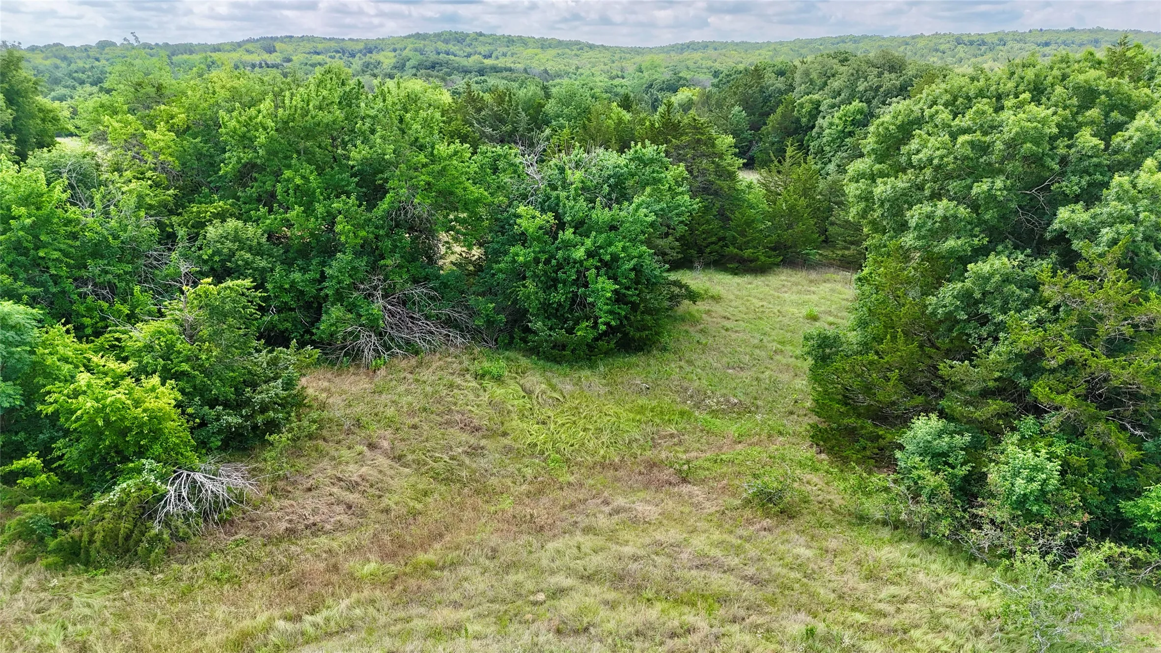 Unimproved Land For Sale in Cooke County , TBD County Road 106, Whitesboro, Texas 76273, 0, 0, Garage spaces, 0 Sqft, built in 0, Price $959,200, mls#21182249, Real Estate Agent in Whitesboro, Homes For Sale in Cooke county, Homes For Sale in Whitesboro, Realtor in Whitesboro Texas, Real Estate Brokerage Independent Realty Texas, Luminita Cordes Realtor