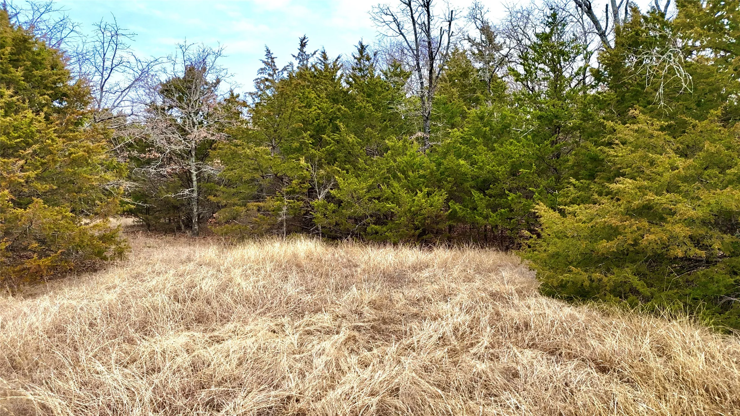 Unimproved Land For Sale in Cooke County , TBD County Road 106, Whitesboro, Texas 76273, 0, 0, Garage spaces, 0 Sqft, built in 0, Price $959,200, mls#21182249, Real Estate Agent in Whitesboro, Homes For Sale in Cooke county, Homes For Sale in Whitesboro, Realtor in Whitesboro Texas, Real Estate Brokerage Independent Realty Texas, Luminita Cordes Realtor
