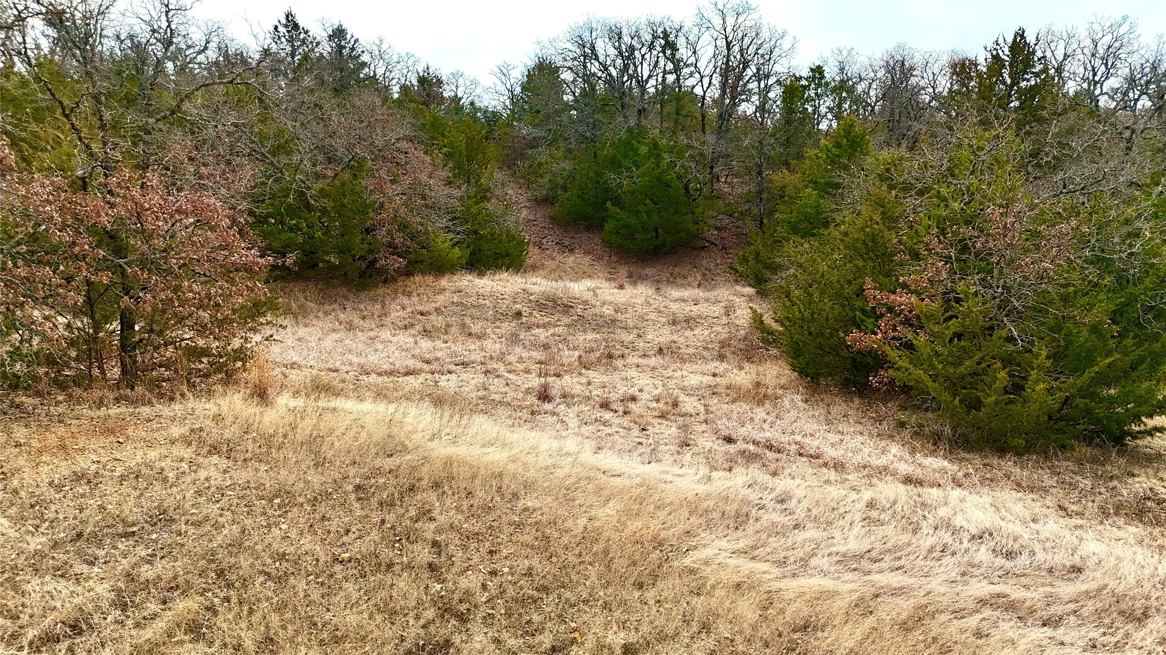 Unimproved Land For Sale in Cooke County , TBD County Road 106, Whitesboro, Texas 76273, 0, 0, Garage spaces, 0 Sqft, built in 0, Price $959,200, mls#21182249, Real Estate Agent in Whitesboro, Homes For Sale in Cooke county, Homes For Sale in Whitesboro, Realtor in Whitesboro Texas, Real Estate Brokerage Independent Realty Texas, Luminita Cordes Realtor