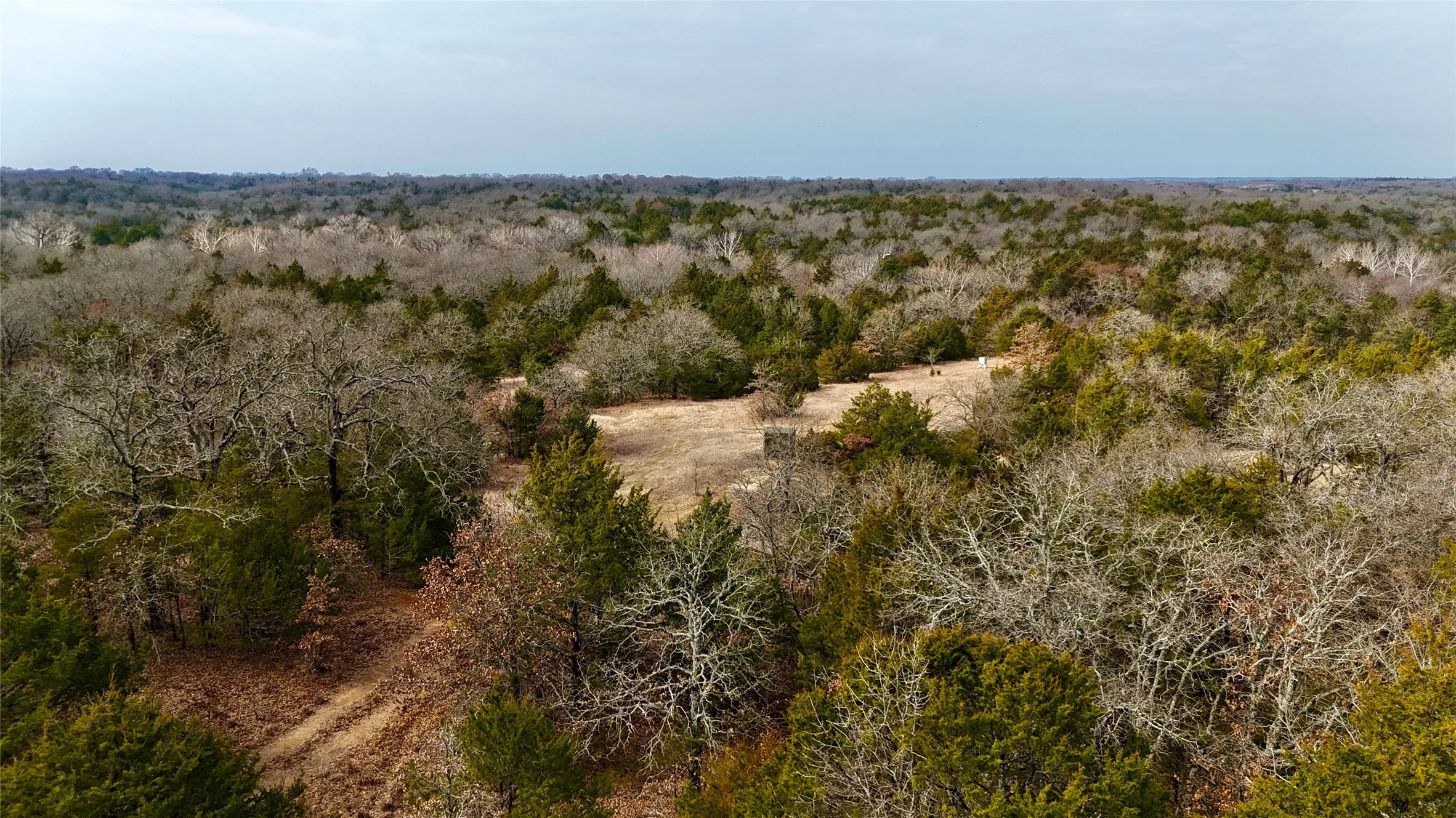 Unimproved Land For Sale in Cooke County , TBD County Road 106, Whitesboro, Texas 76273, 0, 0, Garage spaces, 0 Sqft, built in 0, Price $959,200, mls#21182249, Real Estate Agent in Whitesboro, Homes For Sale in Cooke county, Homes For Sale in Whitesboro, Realtor in Whitesboro Texas, Real Estate Brokerage Independent Realty Texas, Luminita Cordes Realtor