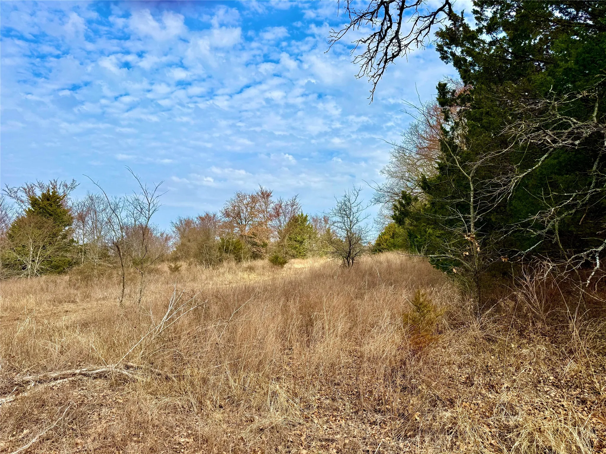 Unimproved Land For Sale in Cooke County , TBD County Road 106, Whitesboro, Texas 76273, 0, 0, Garage spaces, 0 Sqft, built in 0, Price $959,200, mls#21182249, Real Estate Agent in Whitesboro, Homes For Sale in Cooke county, Homes For Sale in Whitesboro, Realtor in Whitesboro Texas, Real Estate Brokerage Independent Realty Texas, Luminita Cordes Realtor