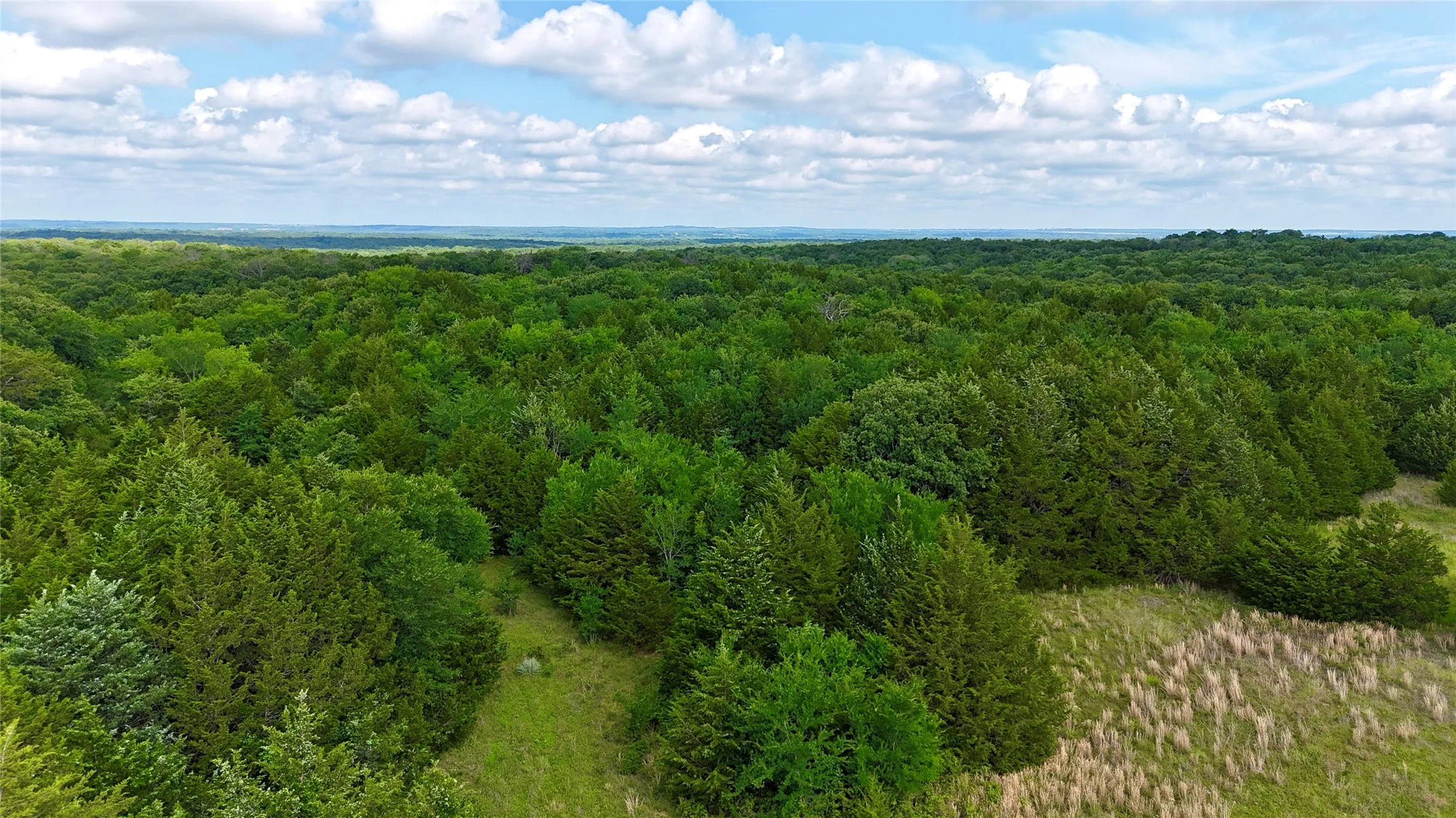 Unimproved Land For Sale in Cooke County , TBD County Road 106, Whitesboro, Texas 76273, 0, 0, Garage spaces, 0 Sqft, built in 0, Price $959,200, mls#21182249, Real Estate Agent in Whitesboro, Homes For Sale in Cooke county, Homes For Sale in Whitesboro, Realtor in Whitesboro Texas, Real Estate Brokerage Independent Realty Texas, Luminita Cordes Realtor