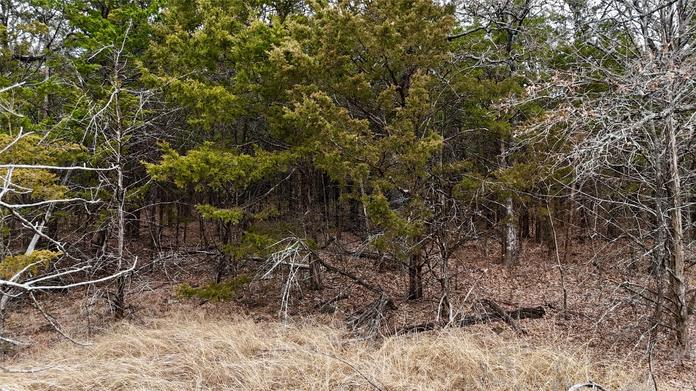 Unimproved Land For Sale in Cooke County , TBD County Road 106, Whitesboro, Texas 76273, 0, 0, Garage spaces, 0 Sqft, built in 0, Price $959,200, mls#21182249, Real Estate Agent in Whitesboro, Homes For Sale in Cooke county, Homes For Sale in Whitesboro, Realtor in Whitesboro Texas, Real Estate Brokerage Independent Realty Texas, Luminita Cordes Realtor