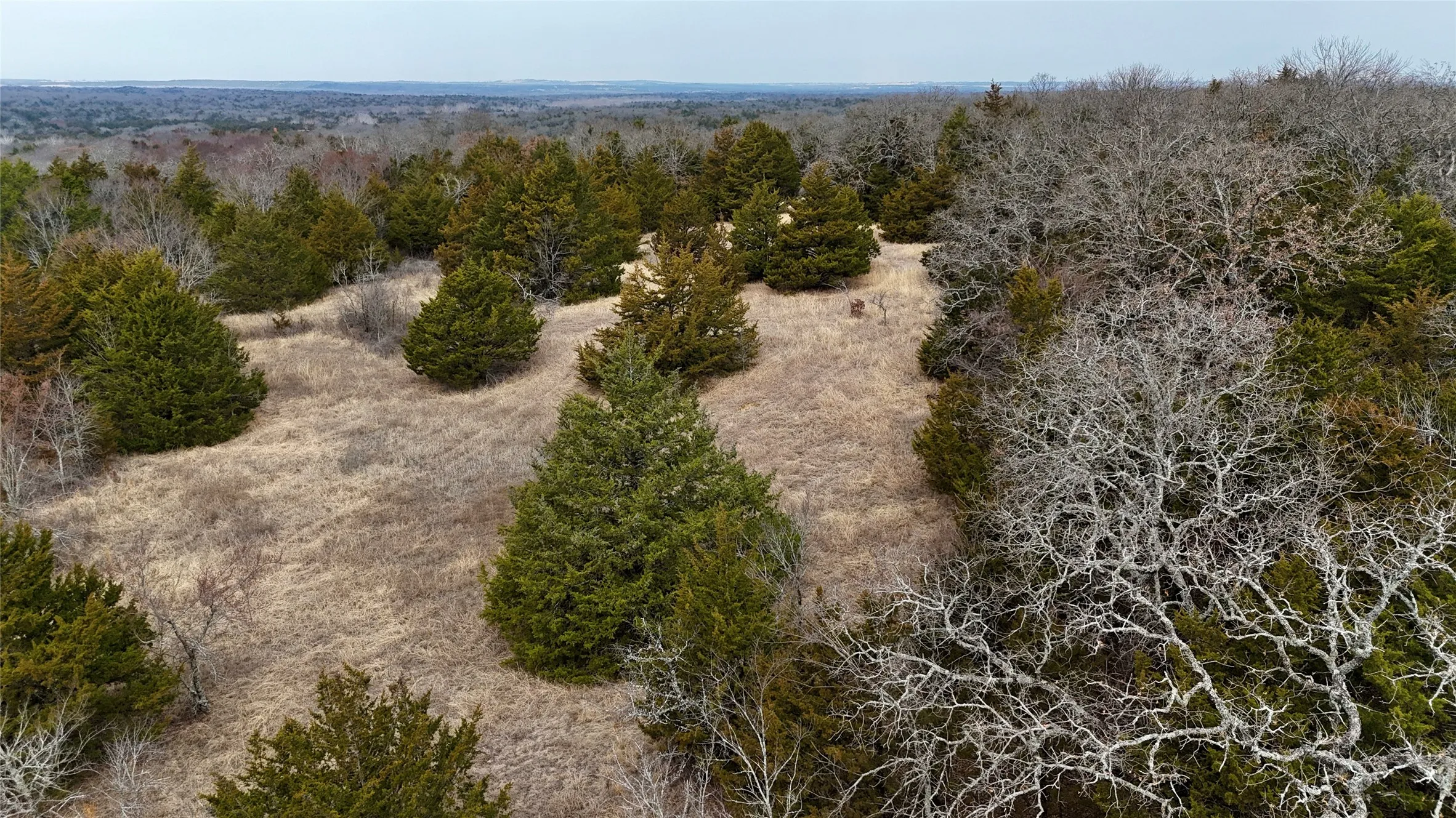 Unimproved Land For Sale in Cooke County , TBD County Road 106, Whitesboro, Texas 76273, 0, 0, Garage spaces, 0 Sqft, built in 0, Price $959,200, mls#21182249, Real Estate Agent in Whitesboro, Homes For Sale in Cooke county, Homes For Sale in Whitesboro, Realtor in Whitesboro Texas, Real Estate Brokerage Independent Realty Texas, Luminita Cordes Realtor