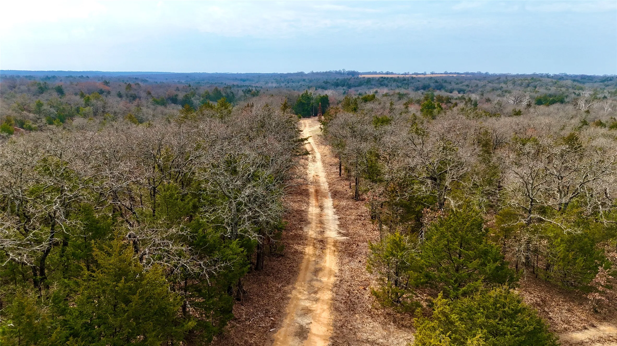 Unimproved Land For Sale in Cooke County , TBD County Road 106, Whitesboro, Texas 76273, 0, 0, Garage spaces, 0 Sqft, built in 0, Price $959,200, mls#21182249, Real Estate Agent in Whitesboro, Homes For Sale in Cooke county, Homes For Sale in Whitesboro, Realtor in Whitesboro Texas, Real Estate Brokerage Independent Realty Texas, Luminita Cordes Realtor