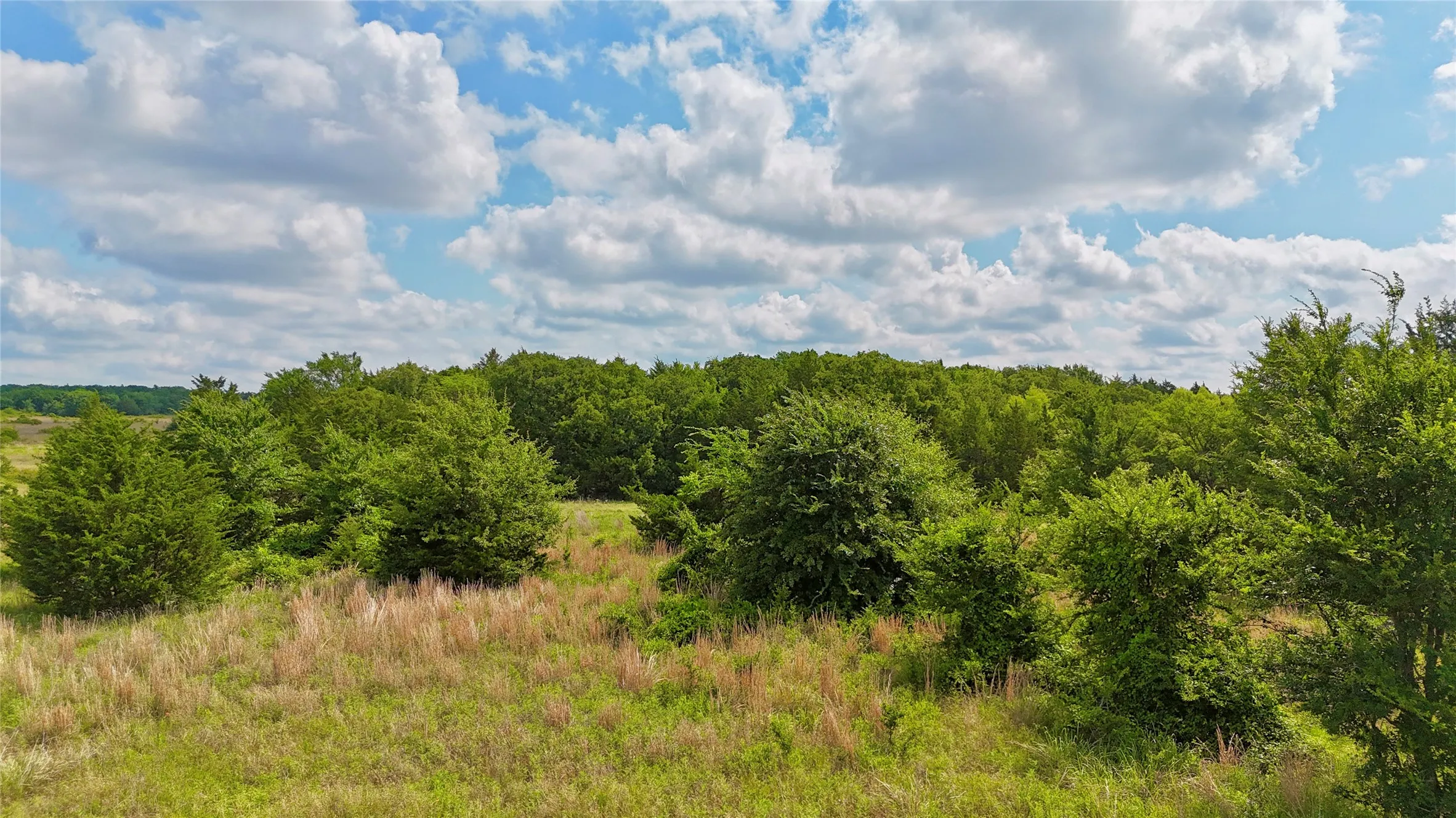Unimproved Land For Sale in Cooke County , TBD County Road 106, Whitesboro, Texas 76273, 0, 0, Garage spaces, 0 Sqft, built in 0, Price $959,200, mls#21182249, Real Estate Agent in Whitesboro, Homes For Sale in Cooke county, Homes For Sale in Whitesboro, Realtor in Whitesboro Texas, Real Estate Brokerage Independent Realty Texas, Luminita Cordes Realtor