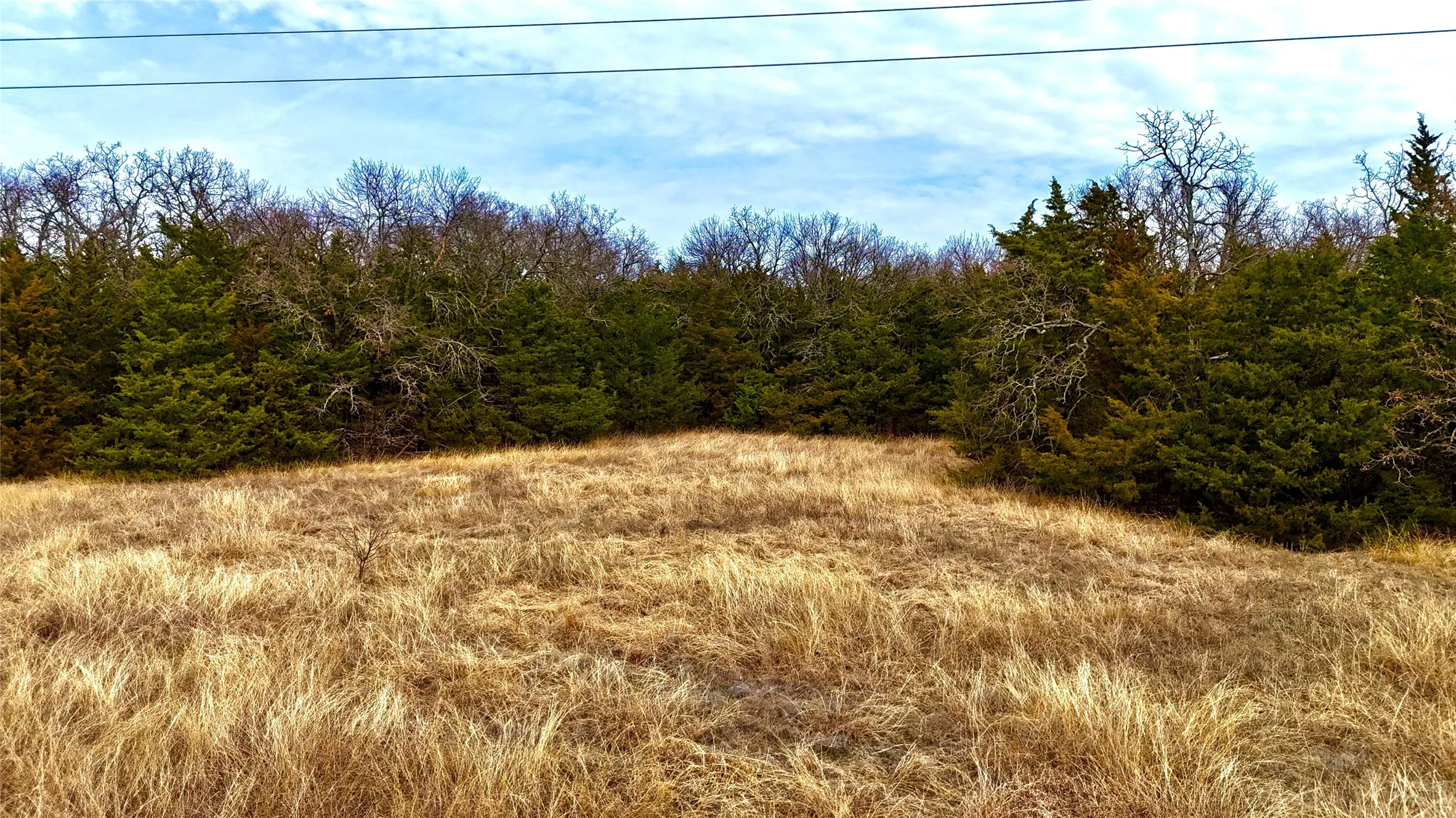 Unimproved Land For Sale in Cooke County , TBD County Road 106, Whitesboro, Texas 76273, 0, 0, Garage spaces, 0 Sqft, built in 0, Price $959,200, mls#21182249, Real Estate Agent in Whitesboro, Homes For Sale in Cooke county, Homes For Sale in Whitesboro, Realtor in Whitesboro Texas, Real Estate Brokerage Independent Realty Texas, Luminita Cordes Realtor