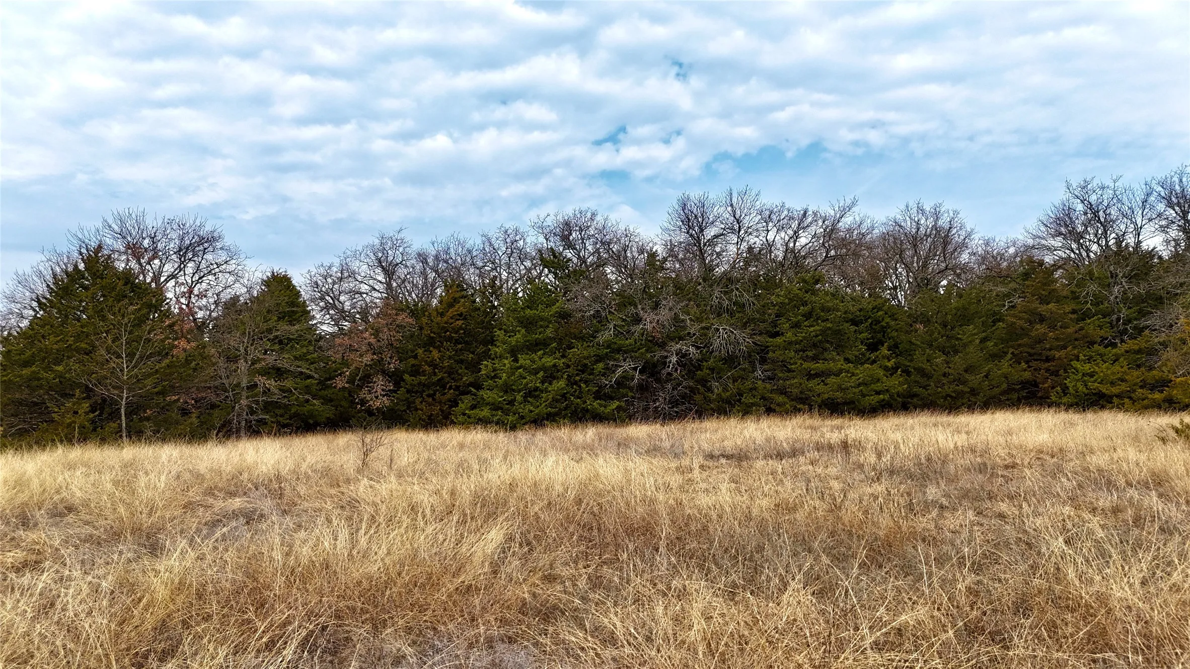 Unimproved Land For Sale in Cooke County , TBD County Road 106, Whitesboro, Texas 76273, 0, 0, Garage spaces, 0 Sqft, built in 0, Price $959,200, mls#21182249, Real Estate Agent in Whitesboro, Homes For Sale in Cooke county, Homes For Sale in Whitesboro, Realtor in Whitesboro Texas, Real Estate Brokerage Independent Realty Texas, Luminita Cordes Realtor