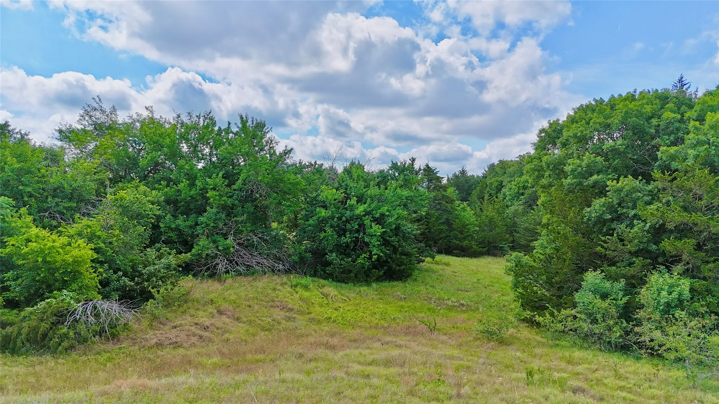 Unimproved Land For Sale in Cooke County , TBD County Road 106, Whitesboro, Texas 76273, 0, 0, Garage spaces, 0 Sqft, built in 0, Price $959,200, mls#21182249, Real Estate Agent in Whitesboro, Homes For Sale in Cooke county, Homes For Sale in Whitesboro, Realtor in Whitesboro Texas, Real Estate Brokerage Independent Realty Texas, Luminita Cordes Realtor