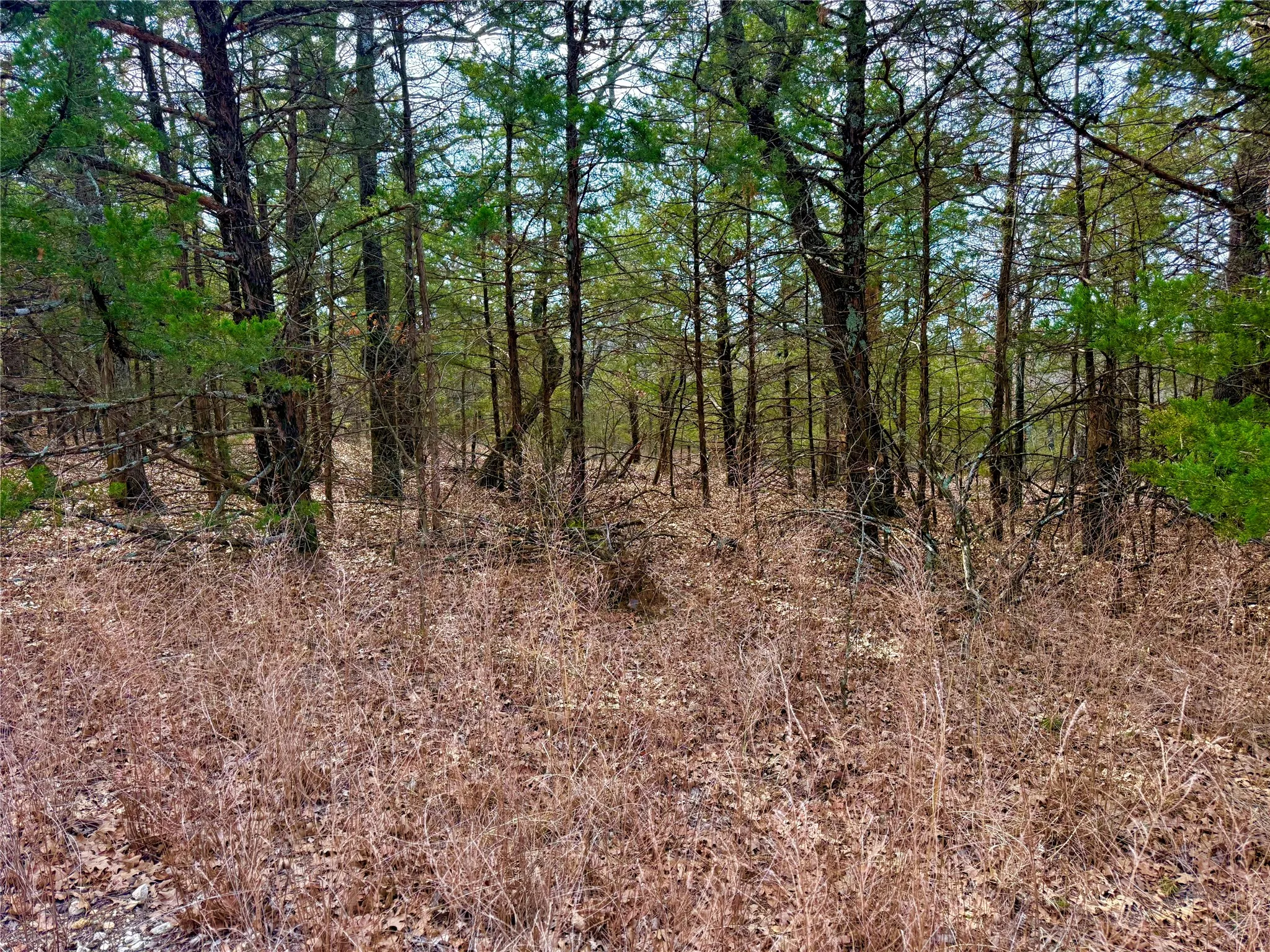 Unimproved Land For Sale in Cooke County , TBD County Road 106, Whitesboro, Texas 76273, 0, 0, Garage spaces, 0 Sqft, built in 0, Price $959,200, mls#21182249, Real Estate Agent in Whitesboro, Homes For Sale in Cooke county, Homes For Sale in Whitesboro, Realtor in Whitesboro Texas, Real Estate Brokerage Independent Realty Texas, Luminita Cordes Realtor