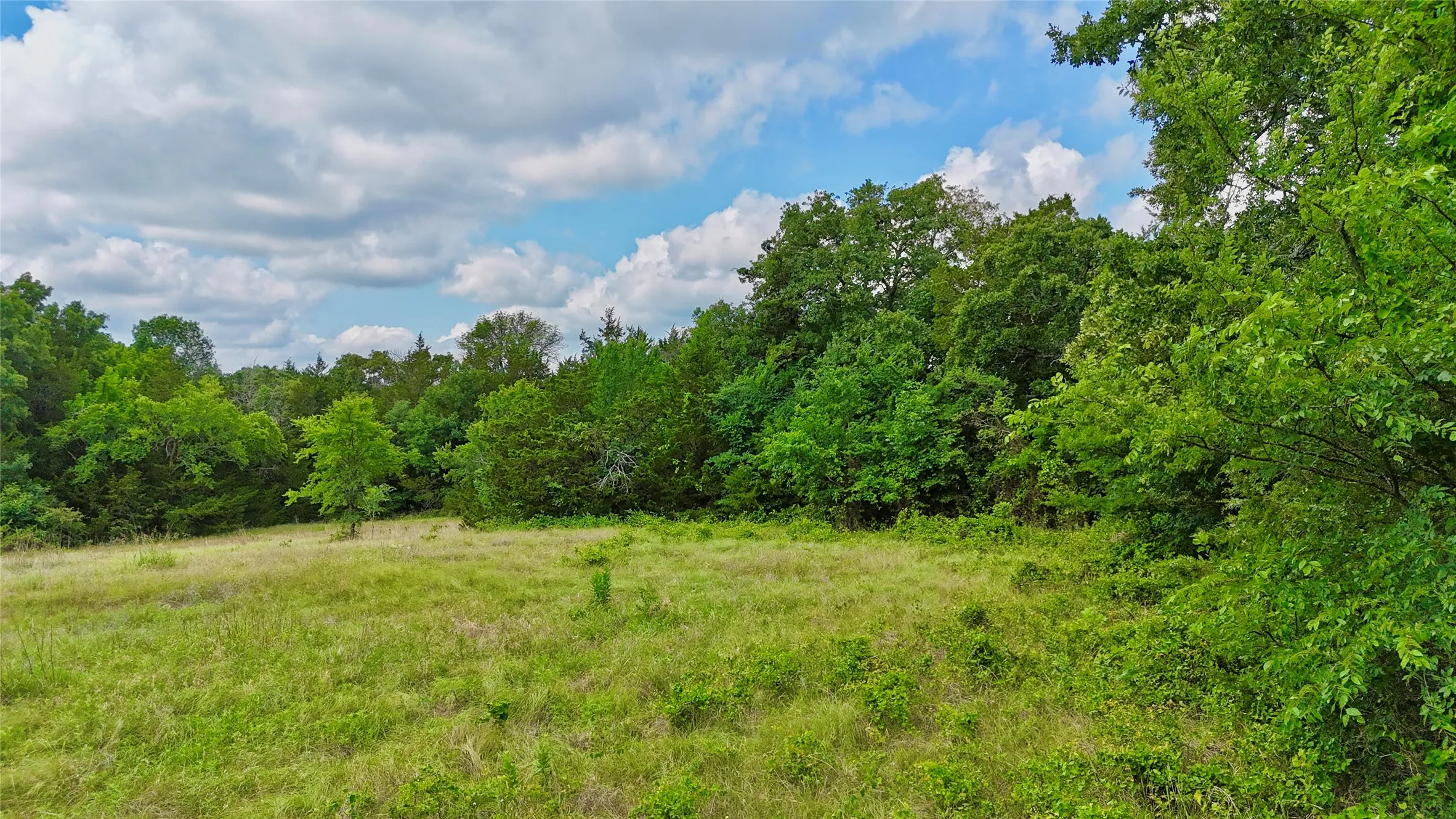 Unimproved Land For Sale in Cooke County , TBD County Road 106, Whitesboro, Texas 76273, 0, 0, Garage spaces, 0 Sqft, built in 0, Price $959,200, mls#21182249, Real Estate Agent in Whitesboro, Homes For Sale in Cooke county, Homes For Sale in Whitesboro, Realtor in Whitesboro Texas, Real Estate Brokerage Independent Realty Texas, Luminita Cordes Realtor