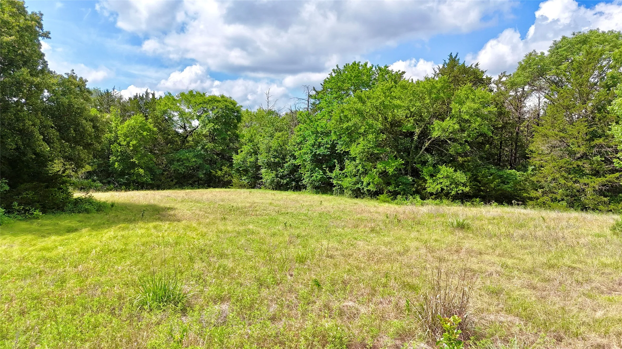 Unimproved Land For Sale in Cooke County , TBD County Road 106, Whitesboro, Texas 76273, 0, 0, Garage spaces, 0 Sqft, built in 0, Price $959,200, mls#21182249, Real Estate Agent in Whitesboro, Homes For Sale in Cooke county, Homes For Sale in Whitesboro, Realtor in Whitesboro Texas, Real Estate Brokerage Independent Realty Texas, Luminita Cordes Realtor