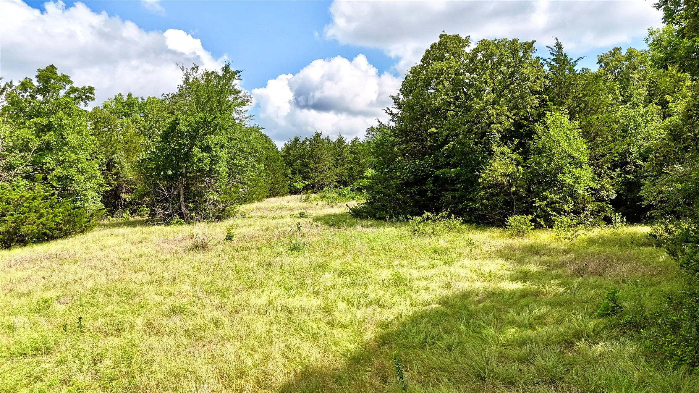 Unimproved Land For Sale in Cooke County , TBD County Road 106, Whitesboro, Texas 76273, 0, 0, Garage spaces, 0 Sqft, built in 0, Price $959,200, mls#21182249, Real Estate Agent in Whitesboro, Homes For Sale in Cooke county, Homes For Sale in Whitesboro, Realtor in Whitesboro Texas, Real Estate Brokerage Independent Realty Texas, Luminita Cordes Realtor
