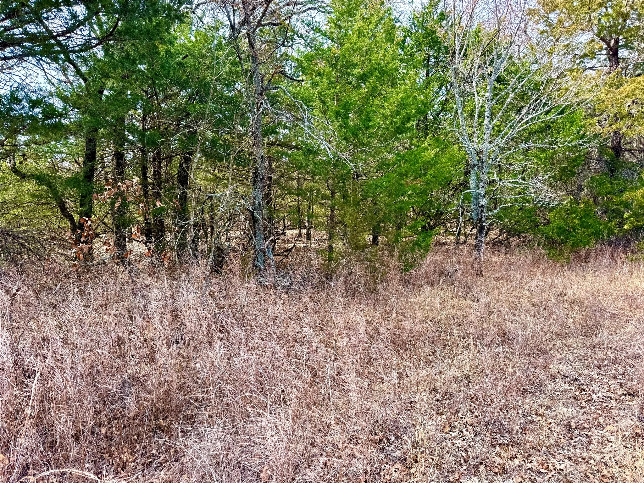 Unimproved Land For Sale in Cooke County , TBD County Road 106, Whitesboro, Texas 76273, 0, 0, Garage spaces, 0 Sqft, built in 0, Price $959,200, mls#21182249, Real Estate Agent in Whitesboro, Homes For Sale in Cooke county, Homes For Sale in Whitesboro, Realtor in Whitesboro Texas, Real Estate Brokerage Independent Realty Texas, Luminita Cordes Realtor