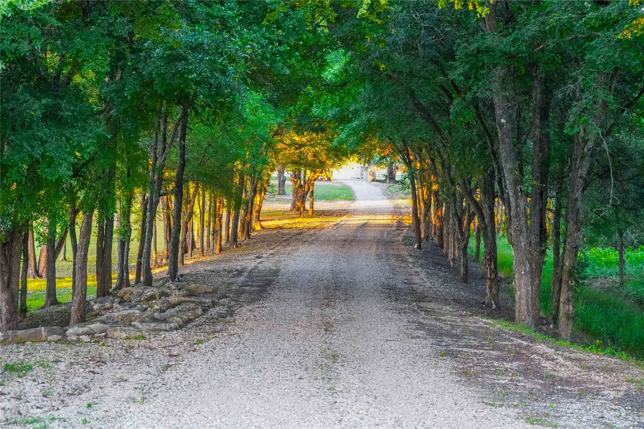 Apartment For Sale in Mc Lennan County , 17309 N Highway 6, Valley Mills, Texas 76689, 3 Bedrooms, 4 Bathrooms, 4 Garage spaces, 5,935 Sqft, built in 2019, Price $5,250,000, mls#21181322, Real Estate Agent in Valley Mills, Homes For Sale in Mc Lennan county, Homes For Sale in Valley Mills, Realtor in Valley Mills Texas, Real Estate Brokerage Independent Realty Texas, Luminita Cordes Realtor