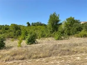Unimproved Land For Sale in Palo Pinto County , Lot 168 Canyon Wren N, Graford, Texas 76449, 0, 0, Garage spaces, 0 Sqft, built in 0, mls#21179479, Real Estate Agent in Graford, Homes For Sale in Palo Pinto county, Homes For Sale in Graford, Realtor in Graford Texas, Real Estate Brokerage Independent Realty Texas, Luminita Cordes Realtor