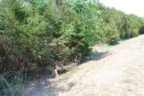 Unimproved Land For Sale in Hill County , 5017 Horseshoe Drive, Whitney, Texas 76692, 0, 0, Garage spaces, 0 Sqft, built in 0, mls#21179491, Real Estate Agent in Whitney, Homes For Sale in Hill county, Homes For Sale in Whitney, Realtor in Whitney Texas, Real Estate Brokerage Independent Realty Texas, Luminita Cordes Realtor