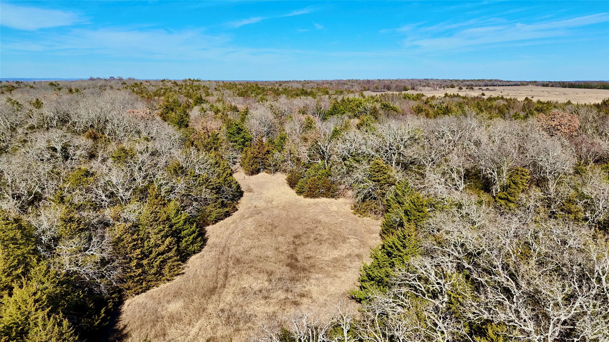 Unimproved Land For Sale in Cooke County , TBD County Road 106, Whitesboro, Texas 76273, 0, 0, Garage spaces, 0 Sqft, built in 0, Price $959,200, mls#21182601, Real Estate Agent in Whitesboro, Homes For Sale in Cooke county, Homes For Sale in Whitesboro, Realtor in Whitesboro Texas, Real Estate Brokerage Independent Realty Texas, Luminita Cordes Realtor