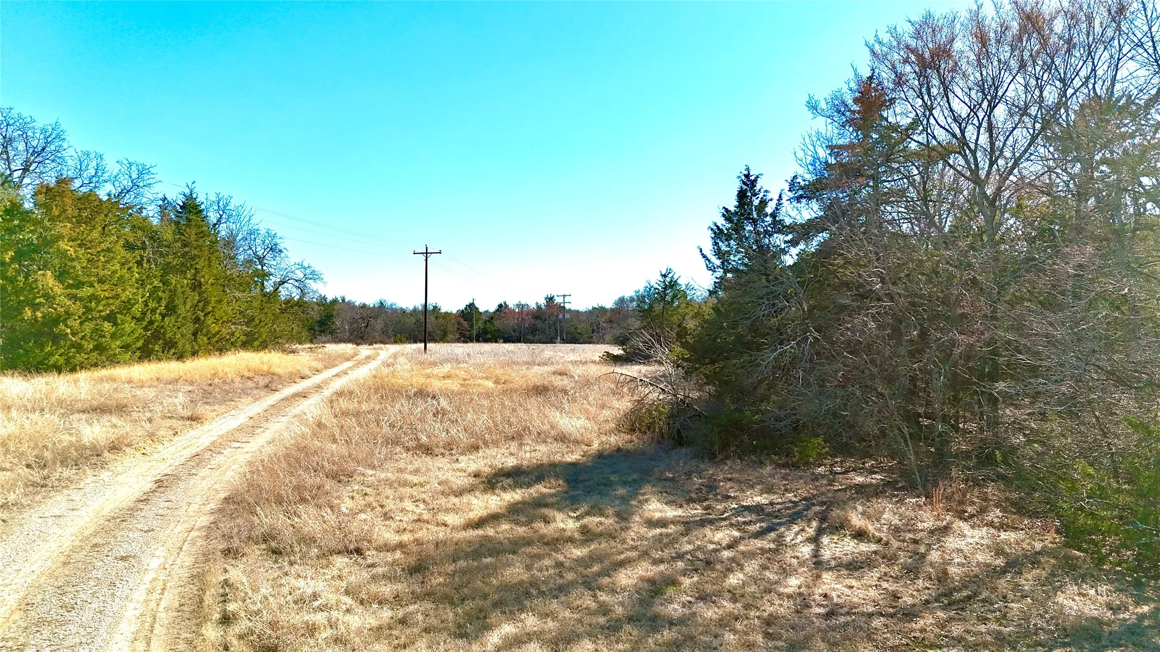 Unimproved Land For Sale in Cooke County , TBD County Road 106, Whitesboro, Texas 76273, 0, 0, Garage spaces, 0 Sqft, built in 0, Price $959,200, mls#21182601, Real Estate Agent in Whitesboro, Homes For Sale in Cooke county, Homes For Sale in Whitesboro, Realtor in Whitesboro Texas, Real Estate Brokerage Independent Realty Texas, Luminita Cordes Realtor