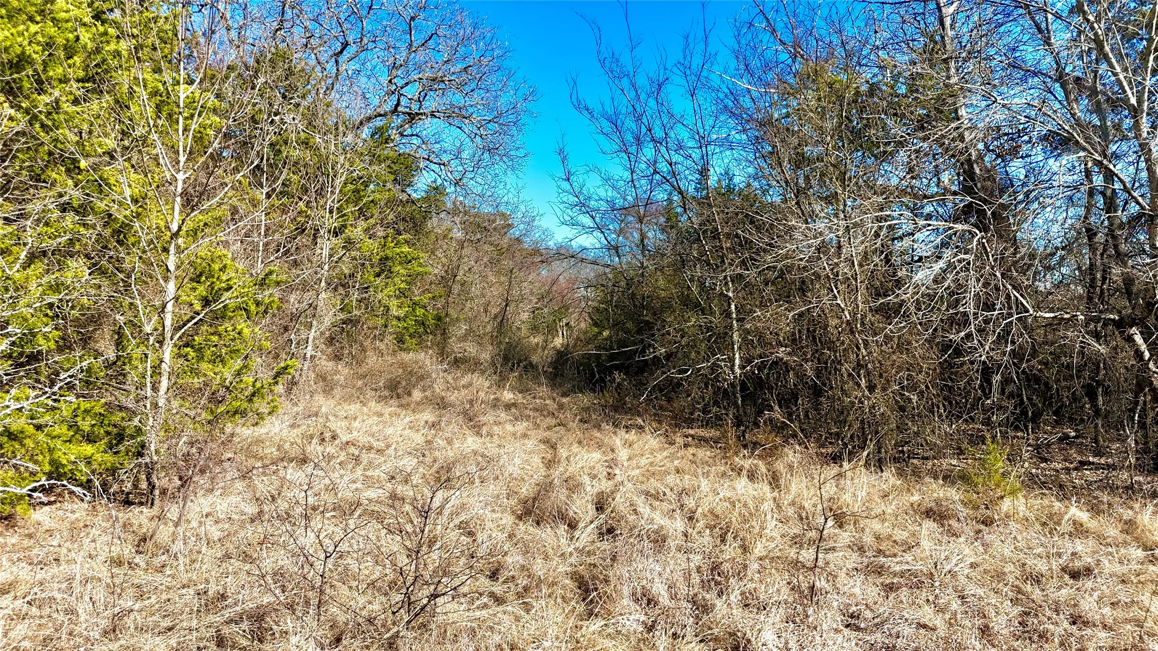 Unimproved Land For Sale in Cooke County , TBD County Road 106, Whitesboro, Texas 76273, 0, 0, Garage spaces, 0 Sqft, built in 0, Price $959,200, mls#21182601, Real Estate Agent in Whitesboro, Homes For Sale in Cooke county, Homes For Sale in Whitesboro, Realtor in Whitesboro Texas, Real Estate Brokerage Independent Realty Texas, Luminita Cordes Realtor