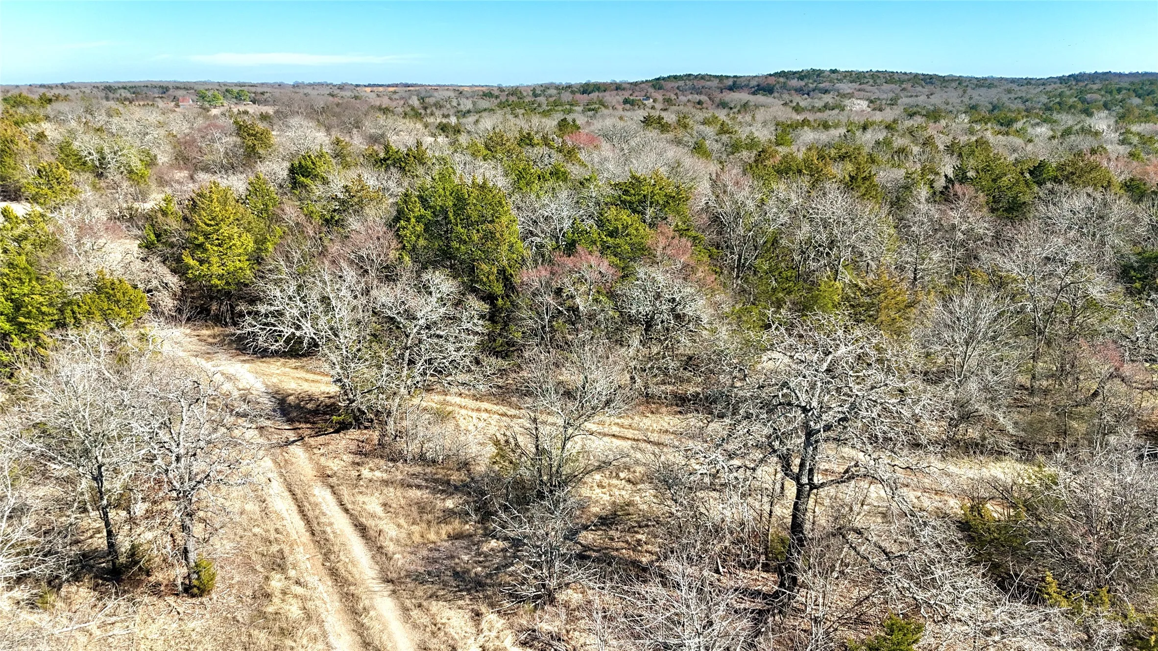 Unimproved Land For Sale in Cooke County , TBD County Road 106, Whitesboro, Texas 76273, 0, 0, Garage spaces, 0 Sqft, built in 0, Price $959,200, mls#21182601, Real Estate Agent in Whitesboro, Homes For Sale in Cooke county, Homes For Sale in Whitesboro, Realtor in Whitesboro Texas, Real Estate Brokerage Independent Realty Texas, Luminita Cordes Realtor