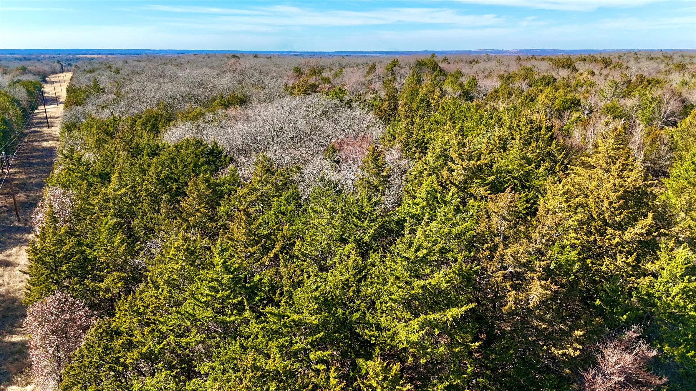 Unimproved Land For Sale in Cooke County , TBD County Road 106, Whitesboro, Texas 76273, 0, 0, Garage spaces, 0 Sqft, built in 0, Price $959,200, mls#21182601, Real Estate Agent in Whitesboro, Homes For Sale in Cooke county, Homes For Sale in Whitesboro, Realtor in Whitesboro Texas, Real Estate Brokerage Independent Realty Texas, Luminita Cordes Realtor