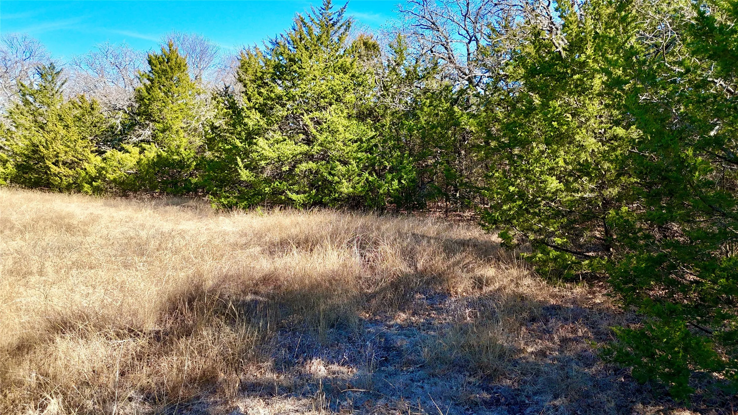 Unimproved Land For Sale in Cooke County , TBD County Road 106, Whitesboro, Texas 76273, 0, 0, Garage spaces, 0 Sqft, built in 0, Price $959,200, mls#21182601, Real Estate Agent in Whitesboro, Homes For Sale in Cooke county, Homes For Sale in Whitesboro, Realtor in Whitesboro Texas, Real Estate Brokerage Independent Realty Texas, Luminita Cordes Realtor
