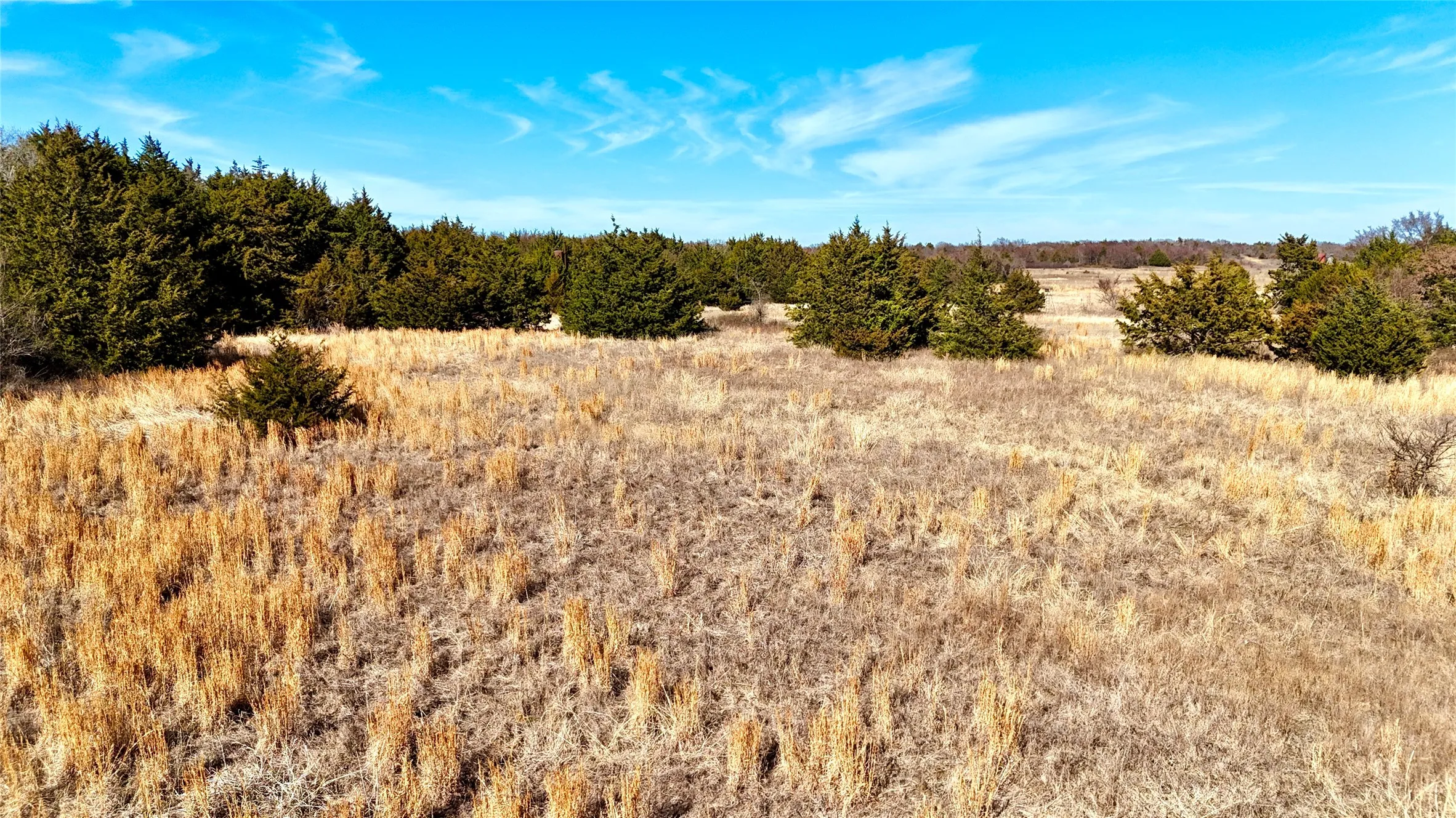 Unimproved Land For Sale in Cooke County , TBD County Road 106, Whitesboro, Texas 76273, 0, 0, Garage spaces, 0 Sqft, built in 0, Price $959,200, mls#21182601, Real Estate Agent in Whitesboro, Homes For Sale in Cooke county, Homes For Sale in Whitesboro, Realtor in Whitesboro Texas, Real Estate Brokerage Independent Realty Texas, Luminita Cordes Realtor