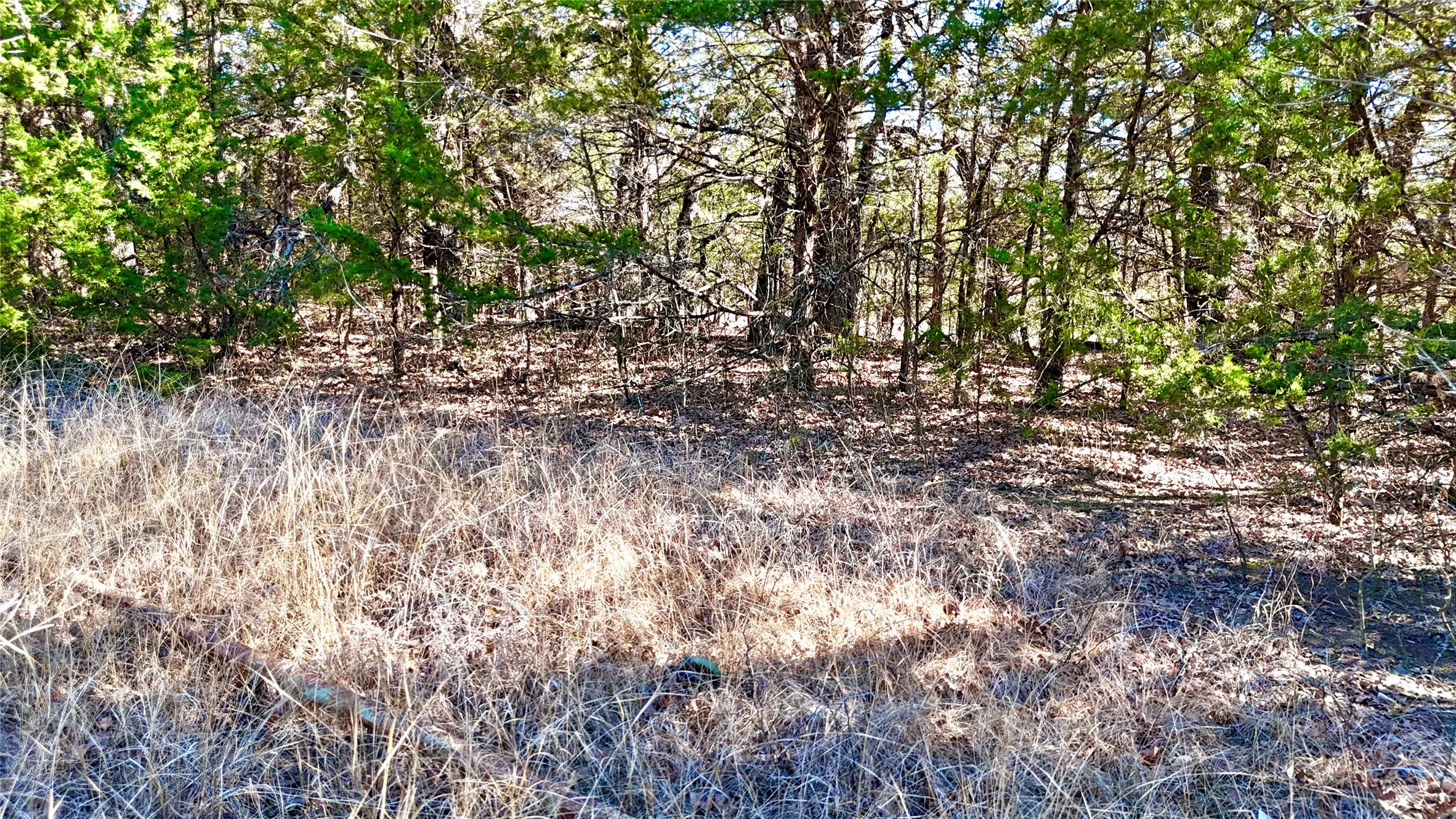 Unimproved Land For Sale in Cooke County , TBD County Road 106, Whitesboro, Texas 76273, 0, 0, Garage spaces, 0 Sqft, built in 0, Price $959,200, mls#21182601, Real Estate Agent in Whitesboro, Homes For Sale in Cooke county, Homes For Sale in Whitesboro, Realtor in Whitesboro Texas, Real Estate Brokerage Independent Realty Texas, Luminita Cordes Realtor