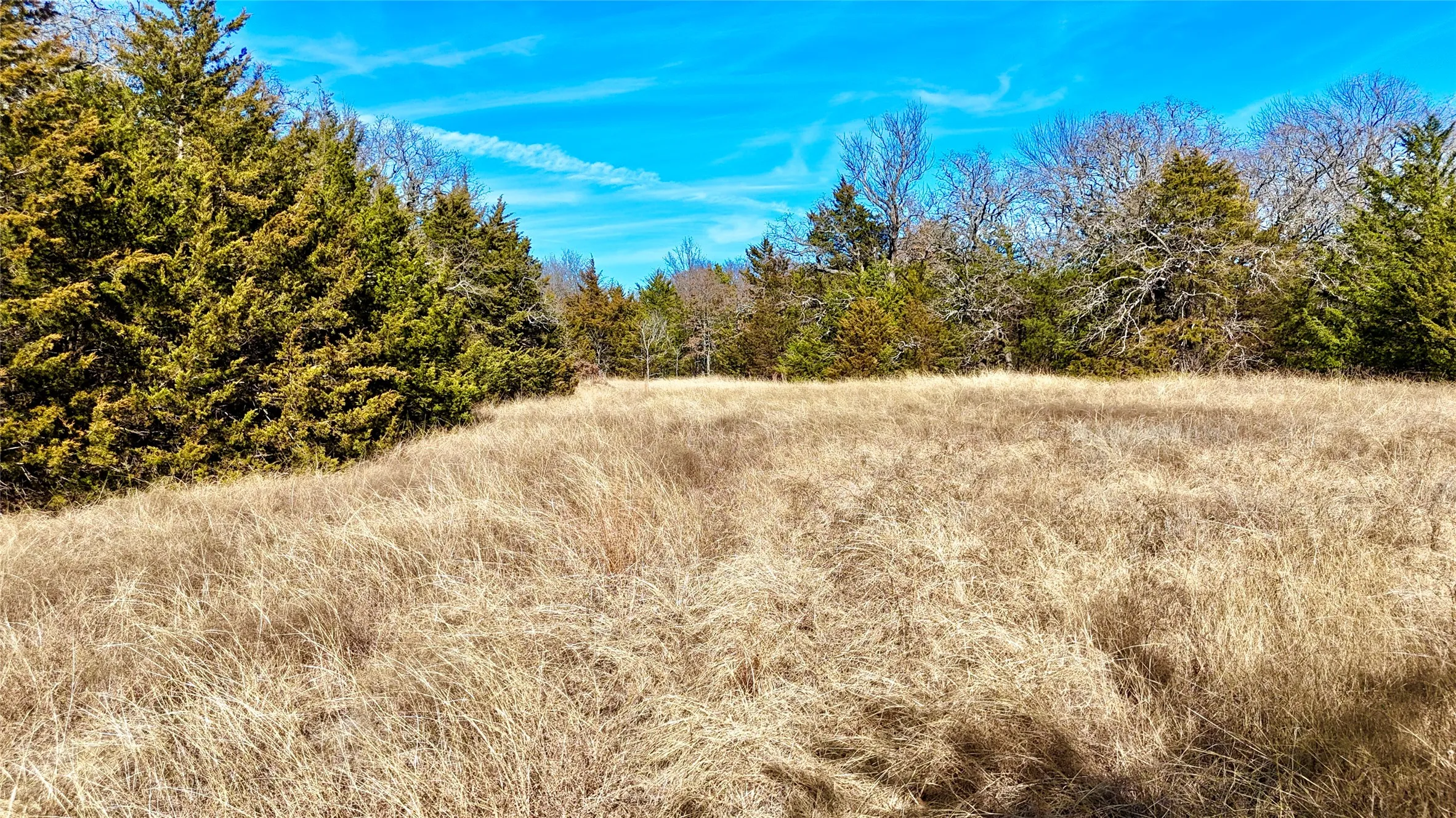 Unimproved Land For Sale in Cooke County , TBD County Road 106, Whitesboro, Texas 76273, 0, 0, Garage spaces, 0 Sqft, built in 0, Price $959,200, mls#21182601, Real Estate Agent in Whitesboro, Homes For Sale in Cooke county, Homes For Sale in Whitesboro, Realtor in Whitesboro Texas, Real Estate Brokerage Independent Realty Texas, Luminita Cordes Realtor