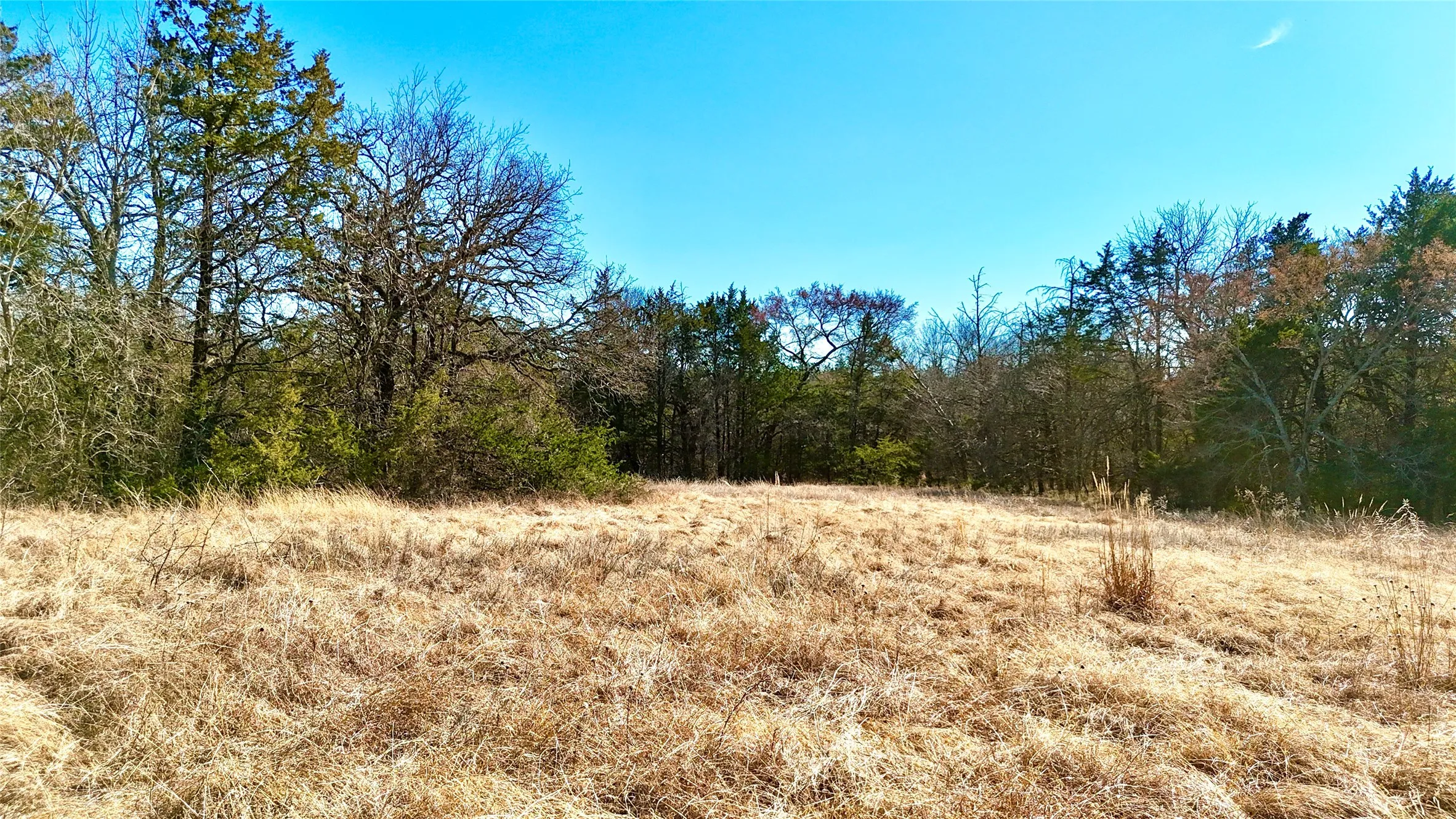 Unimproved Land For Sale in Cooke County , TBD County Road 106, Whitesboro, Texas 76273, 0, 0, Garage spaces, 0 Sqft, built in 0, Price $959,200, mls#21182601, Real Estate Agent in Whitesboro, Homes For Sale in Cooke county, Homes For Sale in Whitesboro, Realtor in Whitesboro Texas, Real Estate Brokerage Independent Realty Texas, Luminita Cordes Realtor