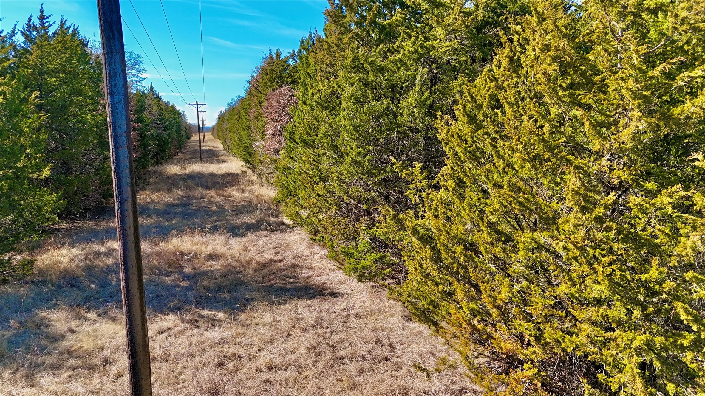 Unimproved Land For Sale in Cooke County , TBD County Road 106, Whitesboro, Texas 76273, 0, 0, Garage spaces, 0 Sqft, built in 0, Price $959,200, mls#21182601, Real Estate Agent in Whitesboro, Homes For Sale in Cooke county, Homes For Sale in Whitesboro, Realtor in Whitesboro Texas, Real Estate Brokerage Independent Realty Texas, Luminita Cordes Realtor