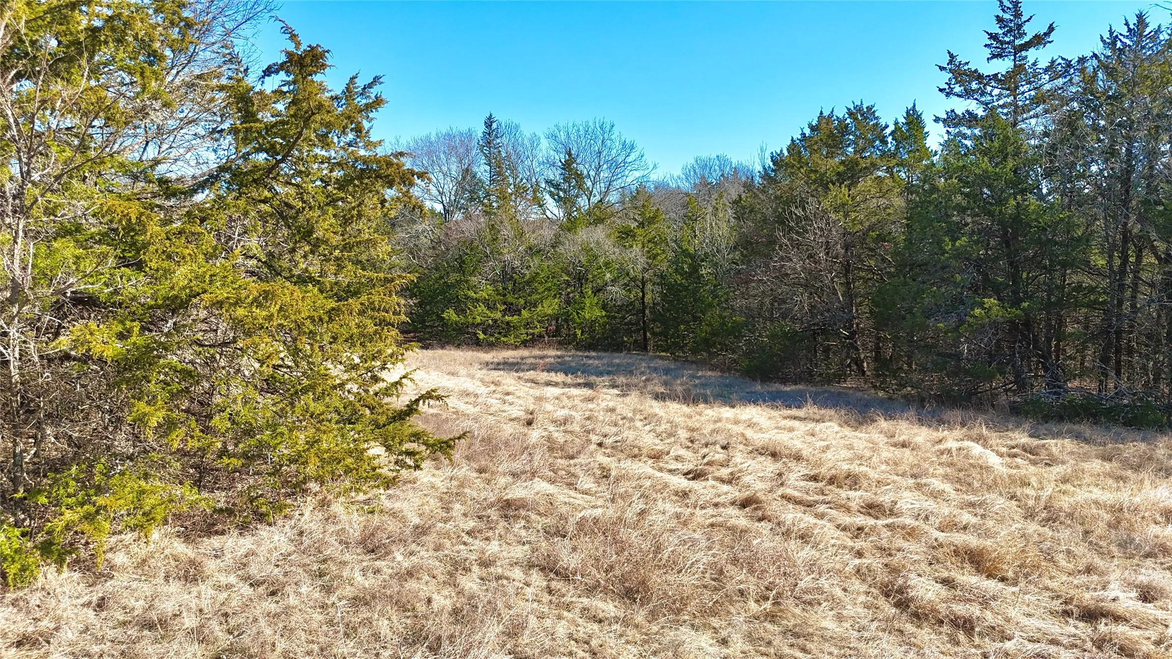 Unimproved Land For Sale in Cooke County , TBD County Road 106, Whitesboro, Texas 76273, 0, 0, Garage spaces, 0 Sqft, built in 0, Price $959,200, mls#21182601, Real Estate Agent in Whitesboro, Homes For Sale in Cooke county, Homes For Sale in Whitesboro, Realtor in Whitesboro Texas, Real Estate Brokerage Independent Realty Texas, Luminita Cordes Realtor
