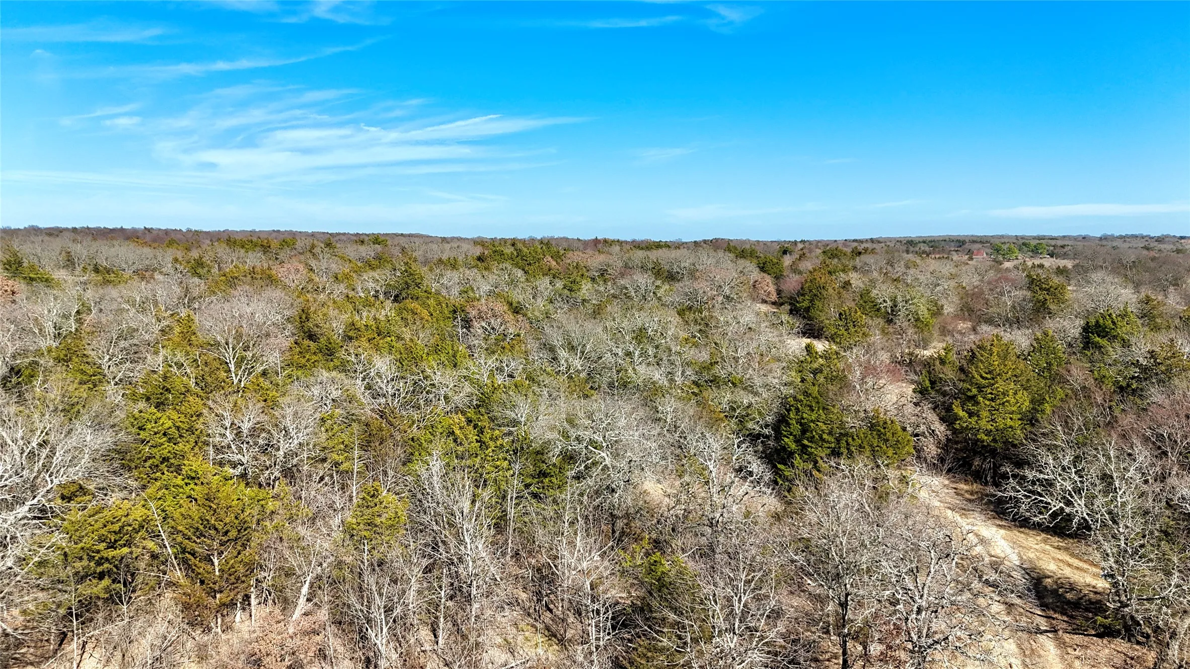 Unimproved Land For Sale in Cooke County , TBD County Road 106, Whitesboro, Texas 76273, 0, 0, Garage spaces, 0 Sqft, built in 0, Price $959,200, mls#21182601, Real Estate Agent in Whitesboro, Homes For Sale in Cooke county, Homes For Sale in Whitesboro, Realtor in Whitesboro Texas, Real Estate Brokerage Independent Realty Texas, Luminita Cordes Realtor
