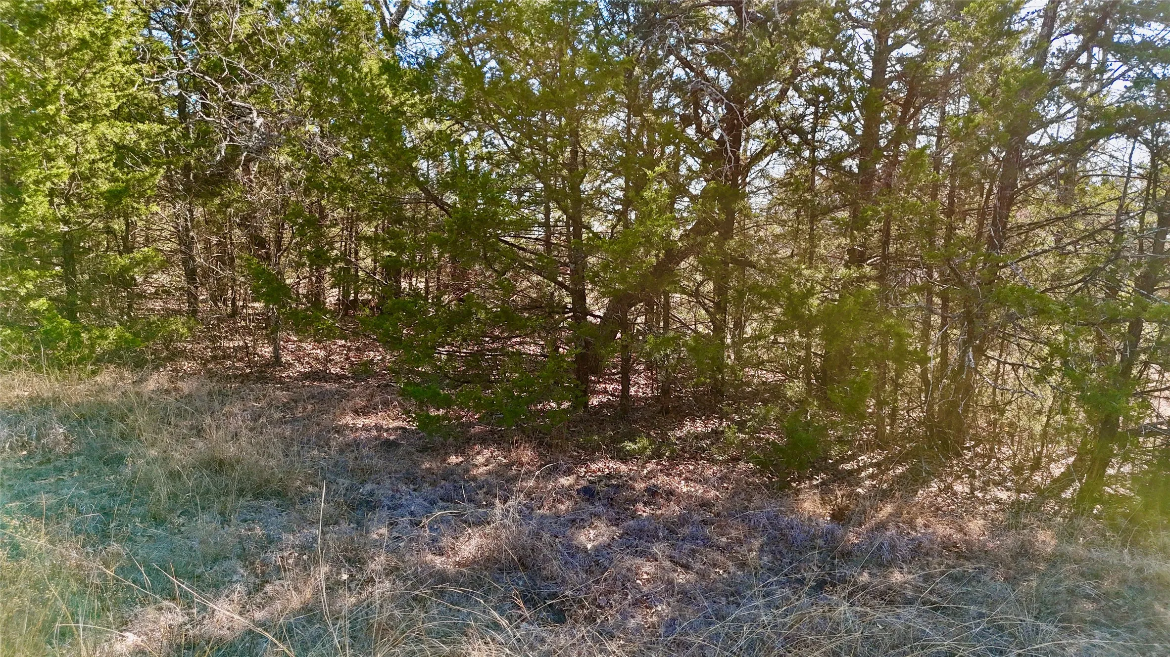 Unimproved Land For Sale in Cooke County , TBD County Road 106, Whitesboro, Texas 76273, 0, 0, Garage spaces, 0 Sqft, built in 0, Price $959,200, mls#21182601, Real Estate Agent in Whitesboro, Homes For Sale in Cooke county, Homes For Sale in Whitesboro, Realtor in Whitesboro Texas, Real Estate Brokerage Independent Realty Texas, Luminita Cordes Realtor