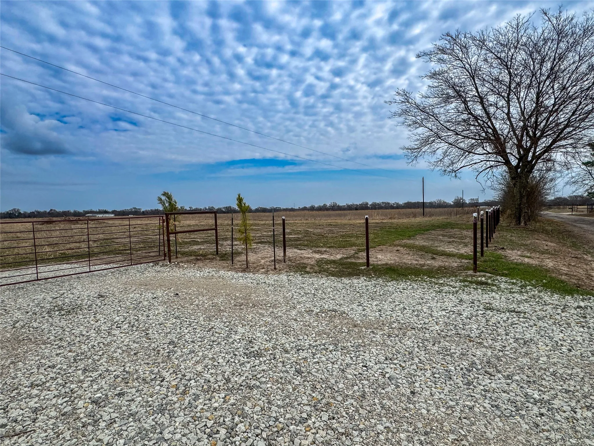 Unimproved Land For Sale in Rains County , 375 County Road 1515, Point, Texas 75472, 0, 0, Garage spaces, 0 Sqft, built in 0, Price $128,000, mls#21182102, Real Estate Agent in Point, Homes For Sale in Rains county, Homes For Sale in Point, Realtor in Point Texas, Real Estate Brokerage Independent Realty Texas, Luminita Cordes Realtor