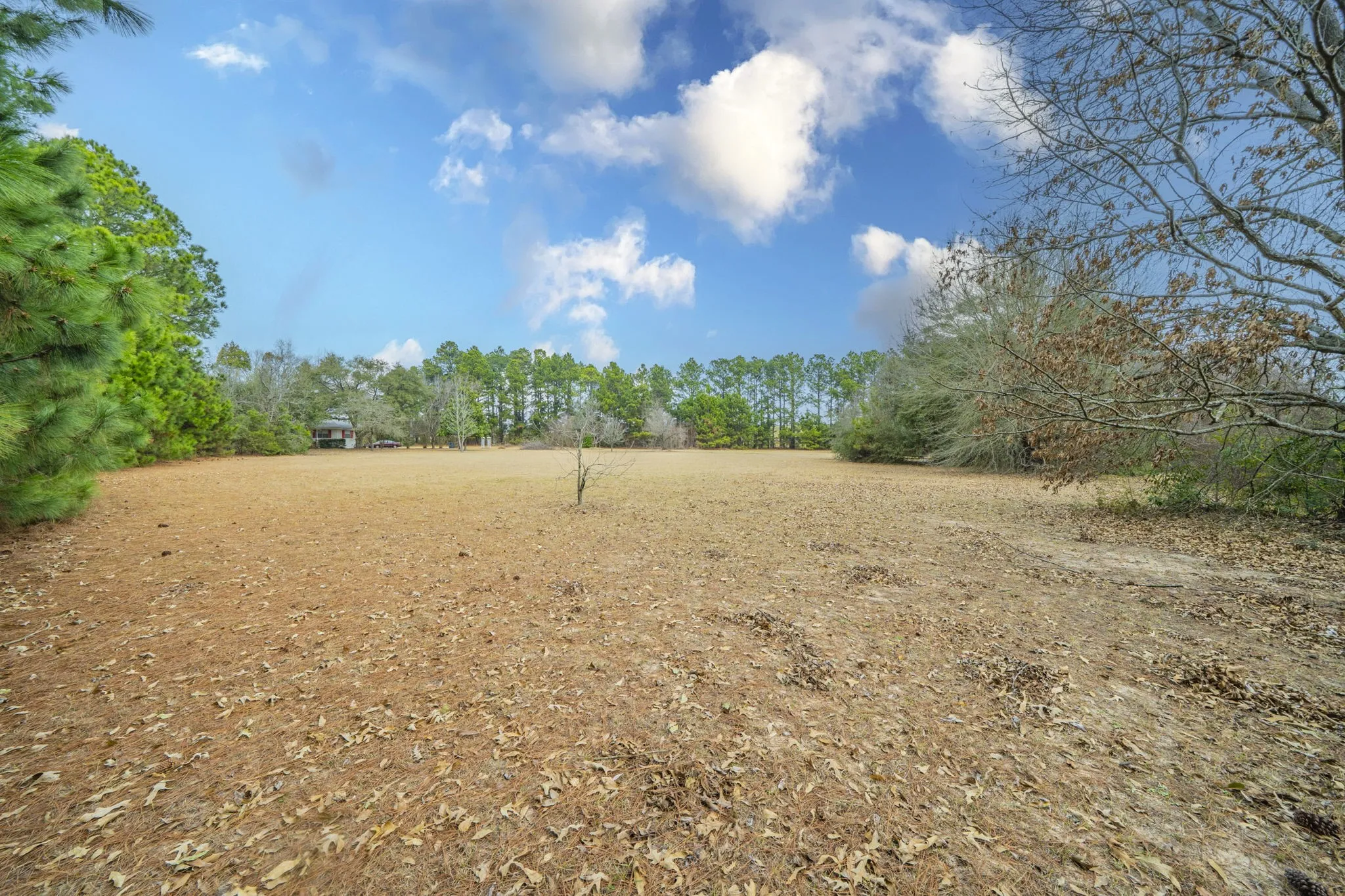 Retail For Sale in Henderson County , 2315 State Hwy 31 E, Athens, Texas 75752, 0, 0, Garage spaces, 0 Sqft, built in 1985, Preowned, Price $2,900,000, mls#21183010, Real Estate Agent in Athens, Homes For Sale in Henderson county, Homes For Sale in Athens, Realtor in Athens Texas, Real Estate Brokerage Independent Realty Texas, Luminita Cordes Realtor