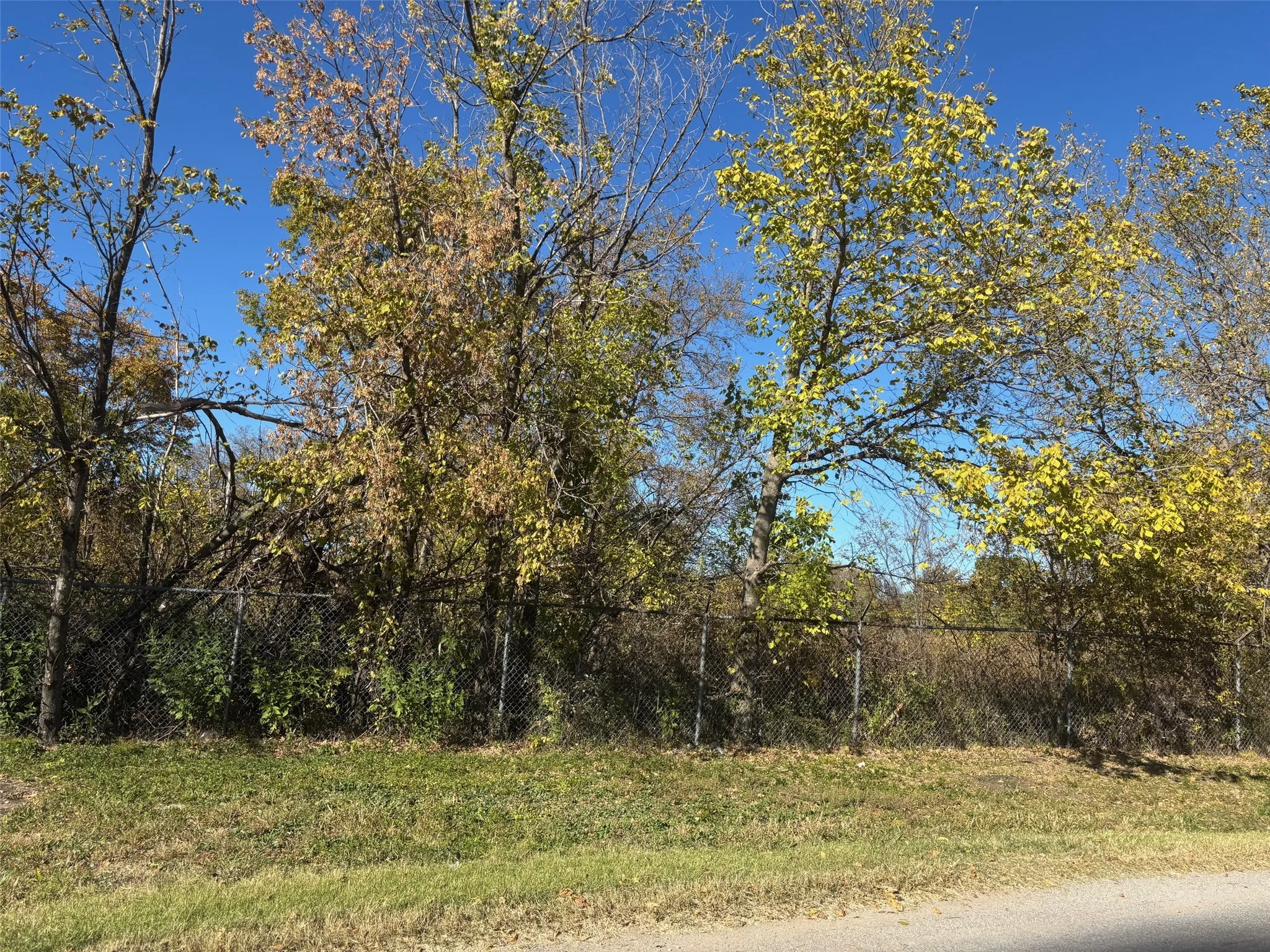 Unimproved Land For Sale in Grayson County , 13.8 Acres / Tract 6 Winn Road, Collinsville, Texas 76268, 0, 0, Garage spaces, 0 Sqft, built in 0, mls#21102055, Real Estate Agent in Collinsville, Homes For Sale in Grayson county, Homes For Sale in Collinsville, Realtor in Collinsville Texas, Real Estate Brokerage Independent Realty Texas, Luminita Cordes Realtor
