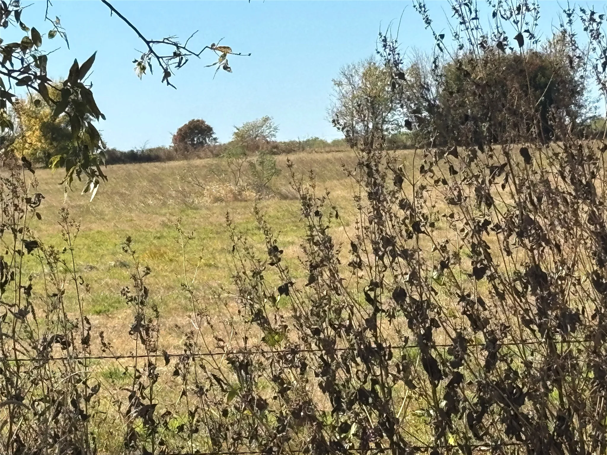 Unimproved Land For Sale in Grayson County , 13.8 Acres / Tract 5 Winn Road, Collinsville, Texas 76268, 0, 0, Garage spaces, 0 Sqft, built in 0, mls#21102045, Real Estate Agent in Collinsville, Homes For Sale in Grayson county, Homes For Sale in Collinsville, Realtor in Collinsville Texas, Real Estate Brokerage Independent Realty Texas, Luminita Cordes Realtor