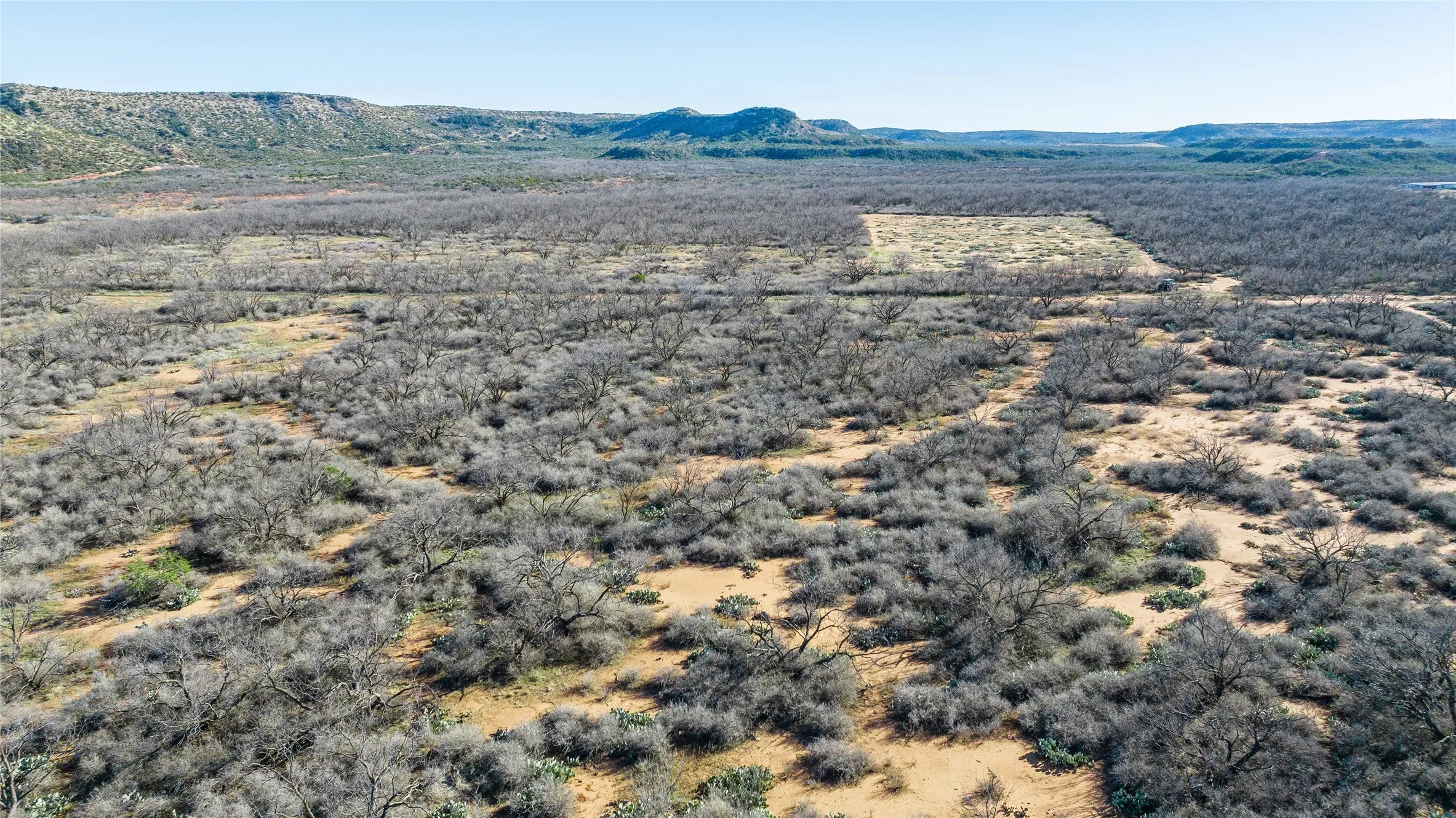 Ranch For Sale in Coke County , 1000 Lometa Road, Bronte, Texas 76933, 0, 0, Garage spaces, 0 Sqft, built in 0, mls#21183076, Real Estate Agent in Bronte, Homes For Sale in Coke county, Homes For Sale in Bronte, Realtor in Bronte Texas, Real Estate Brokerage Independent Realty Texas, Luminita Cordes Realtor